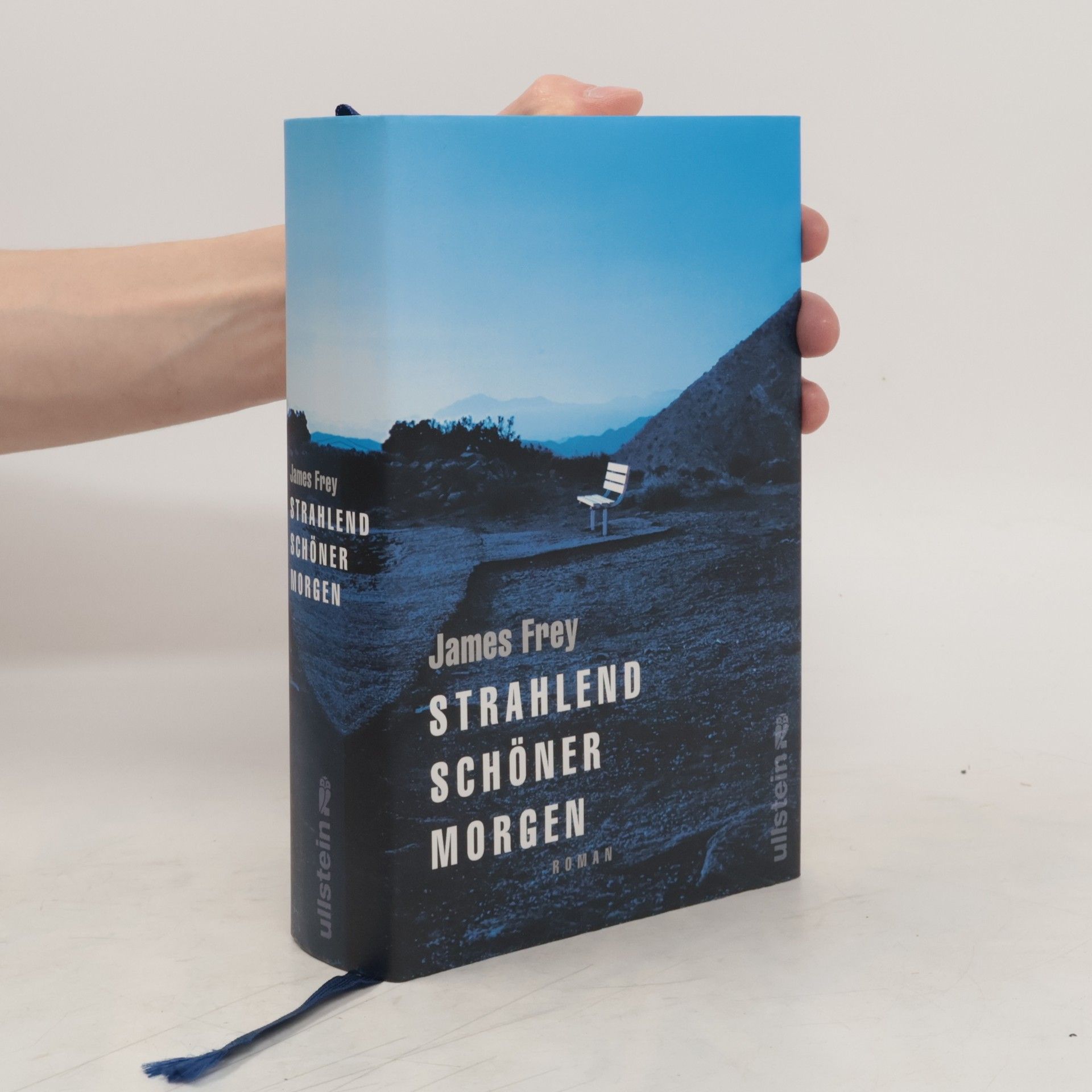 James Frey Strahlend schöner Morgen