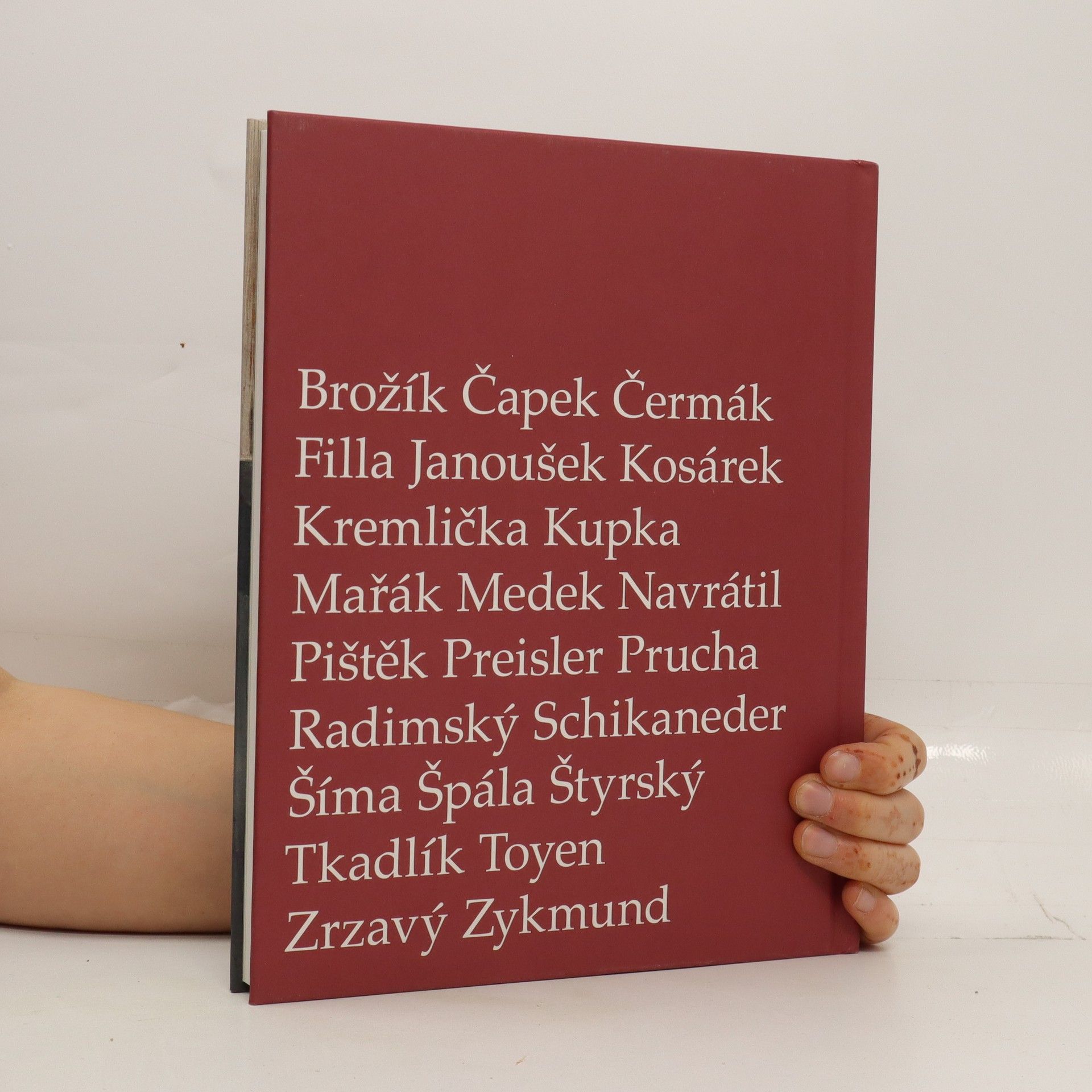 Vendula Vašátková Před obrazem