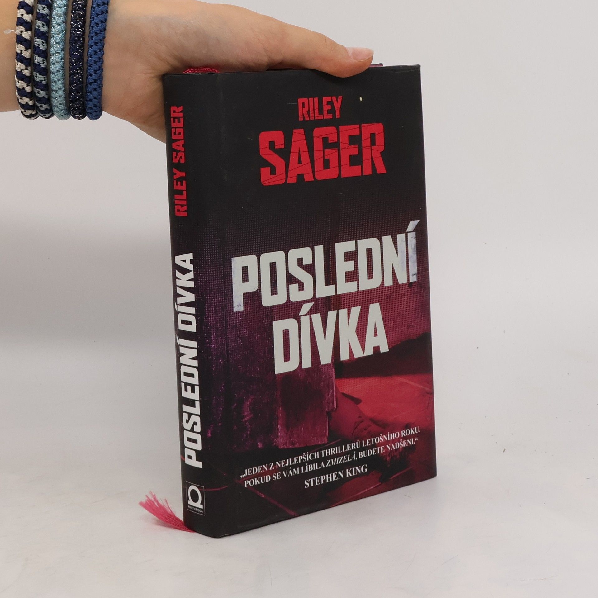 Todd Ritter Poslední dívka