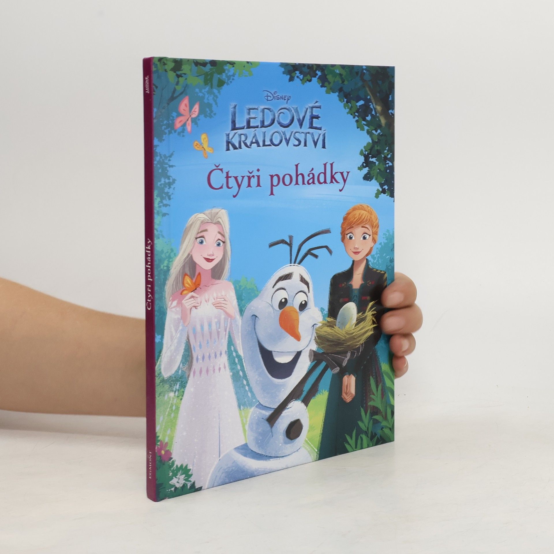 Collectif d'auteurs Ledové království: čtyři pohádky