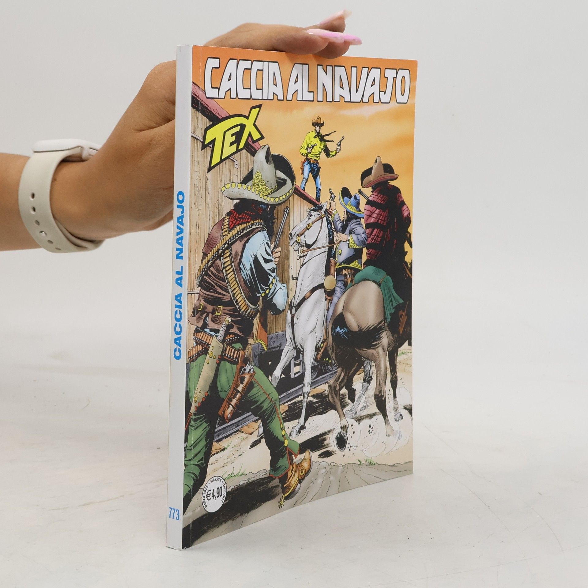 AA.VV. Tex. Caccia al navajo