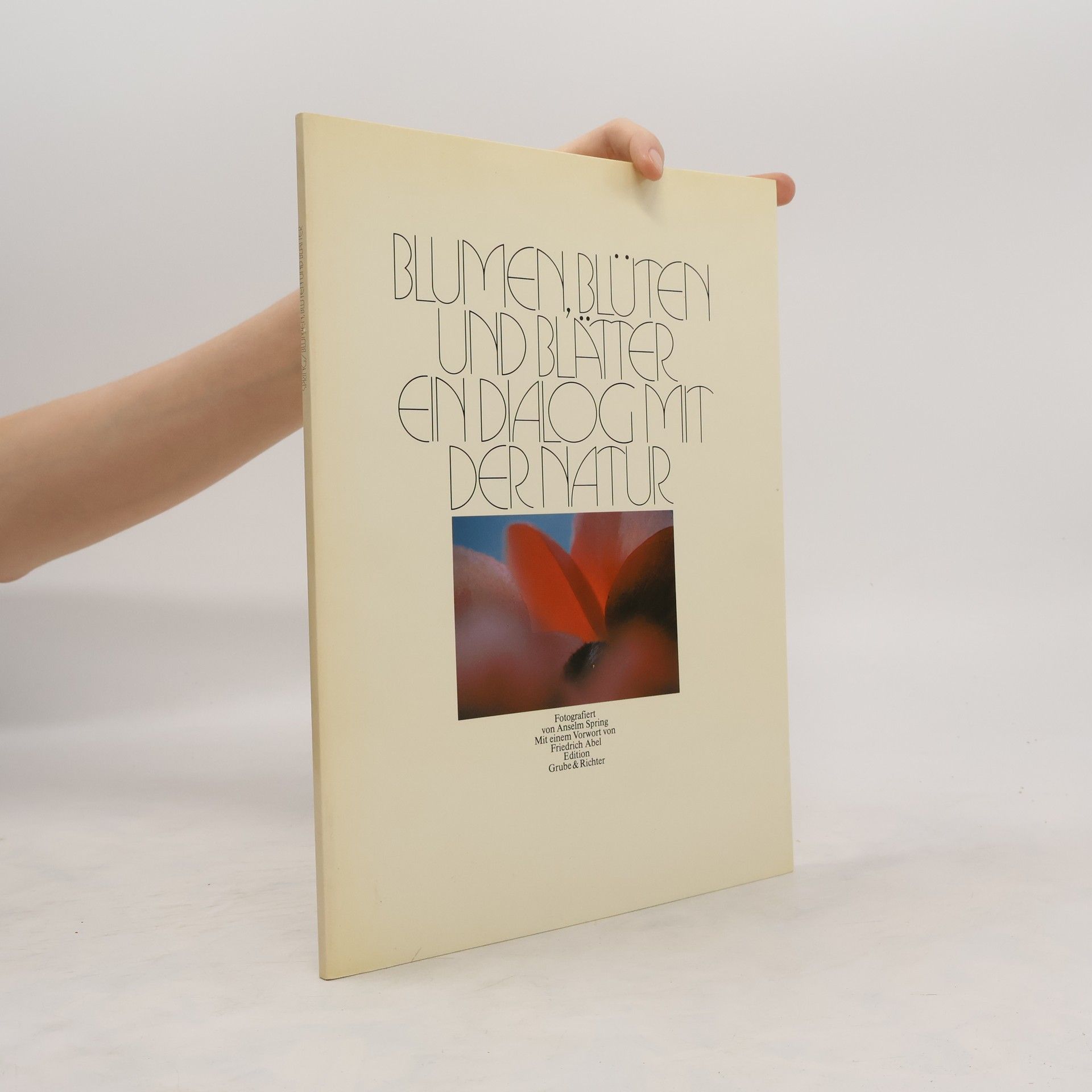 Anselm Spring Blumen, Blüten und Blätter