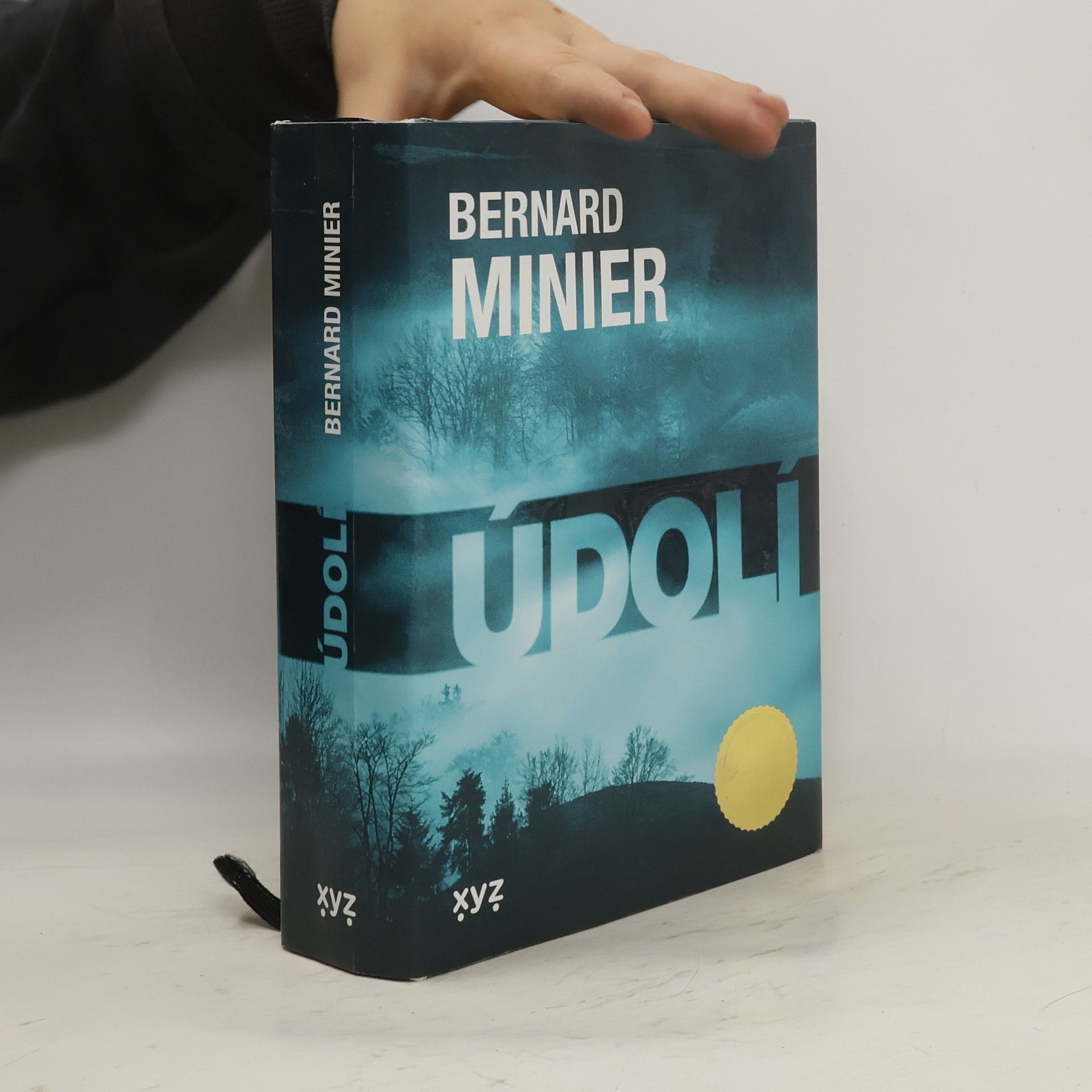 Bernard Minier Údolí