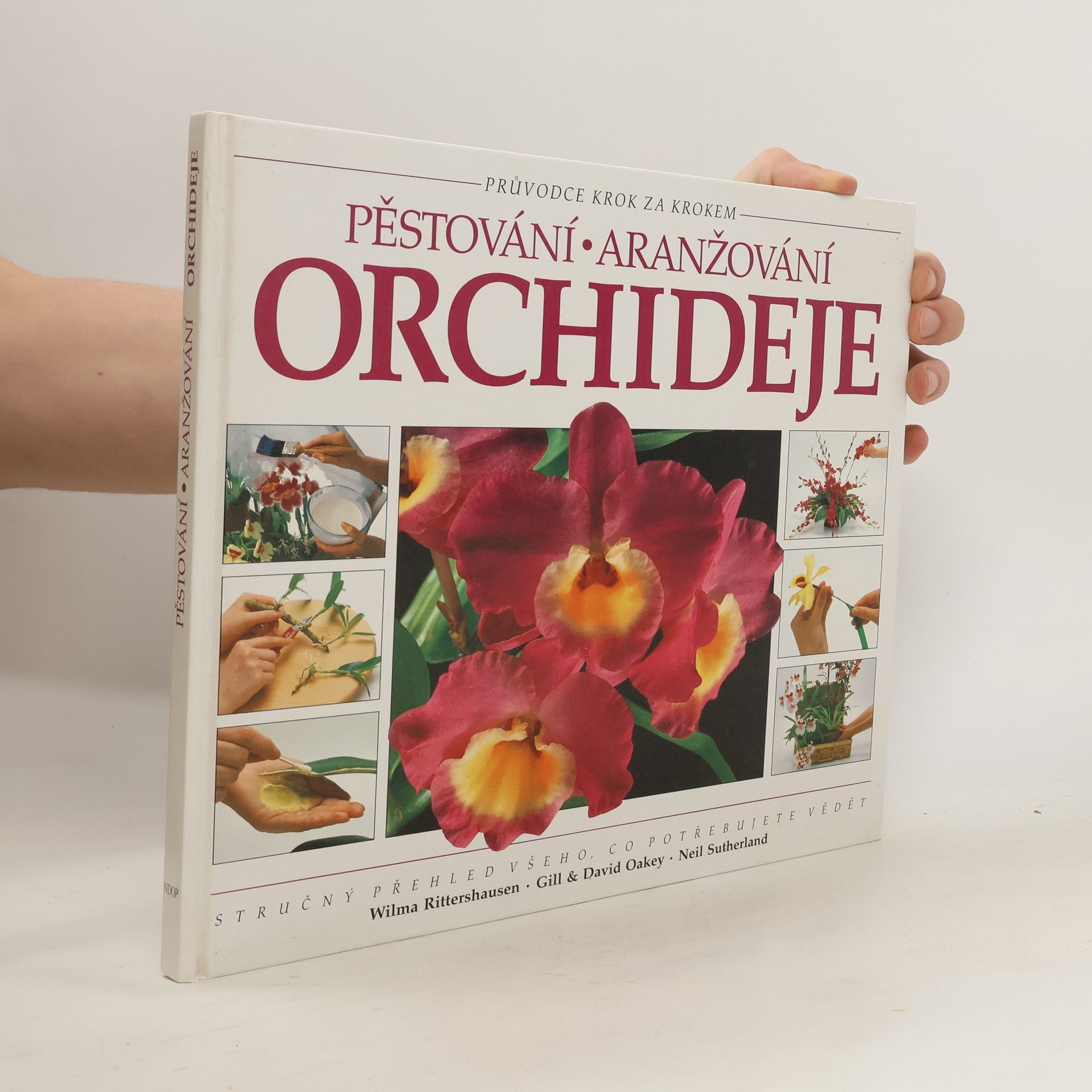 Collectif d'auteurs Pěstování aranžování: Orchideje