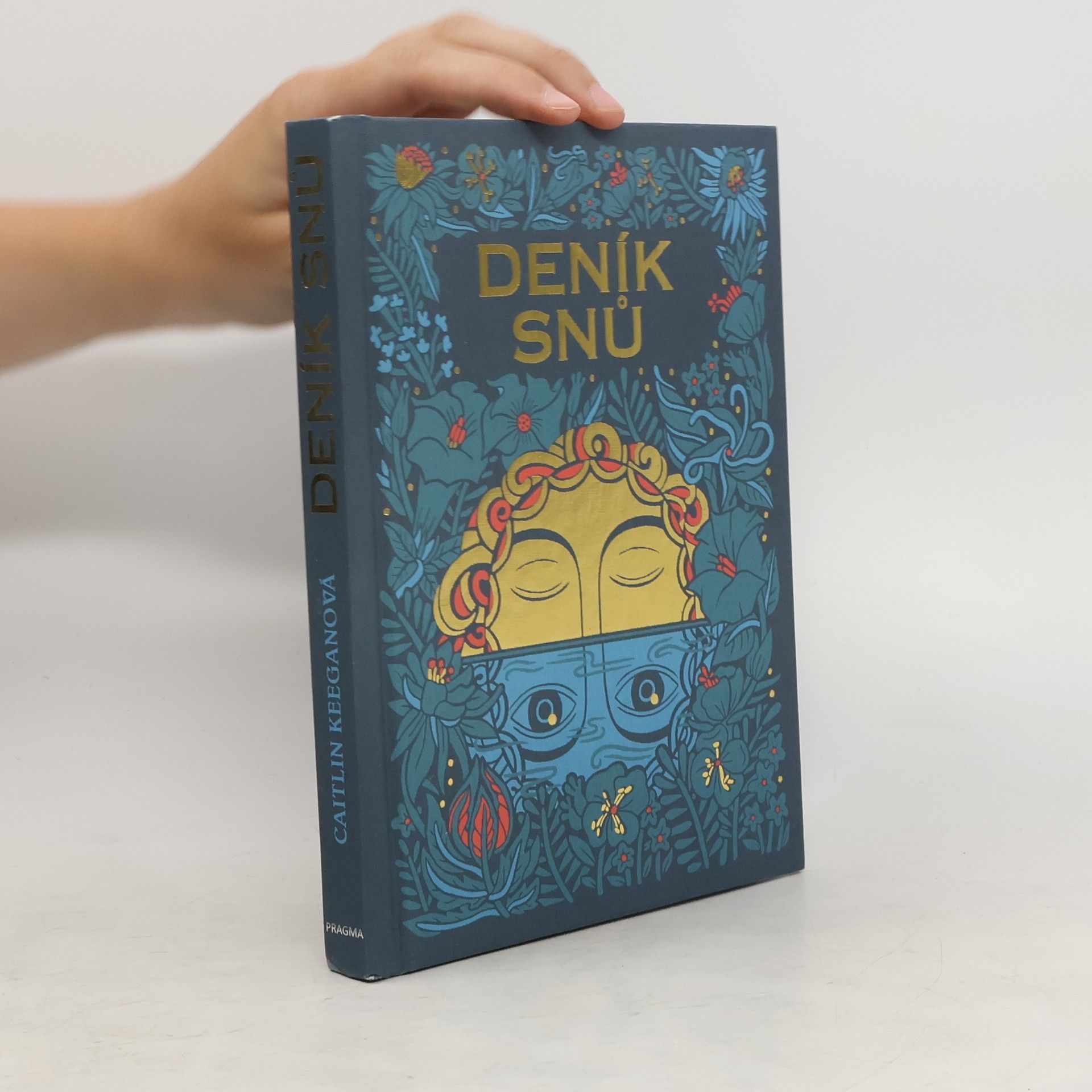 Caitlin Keegan Deník snů