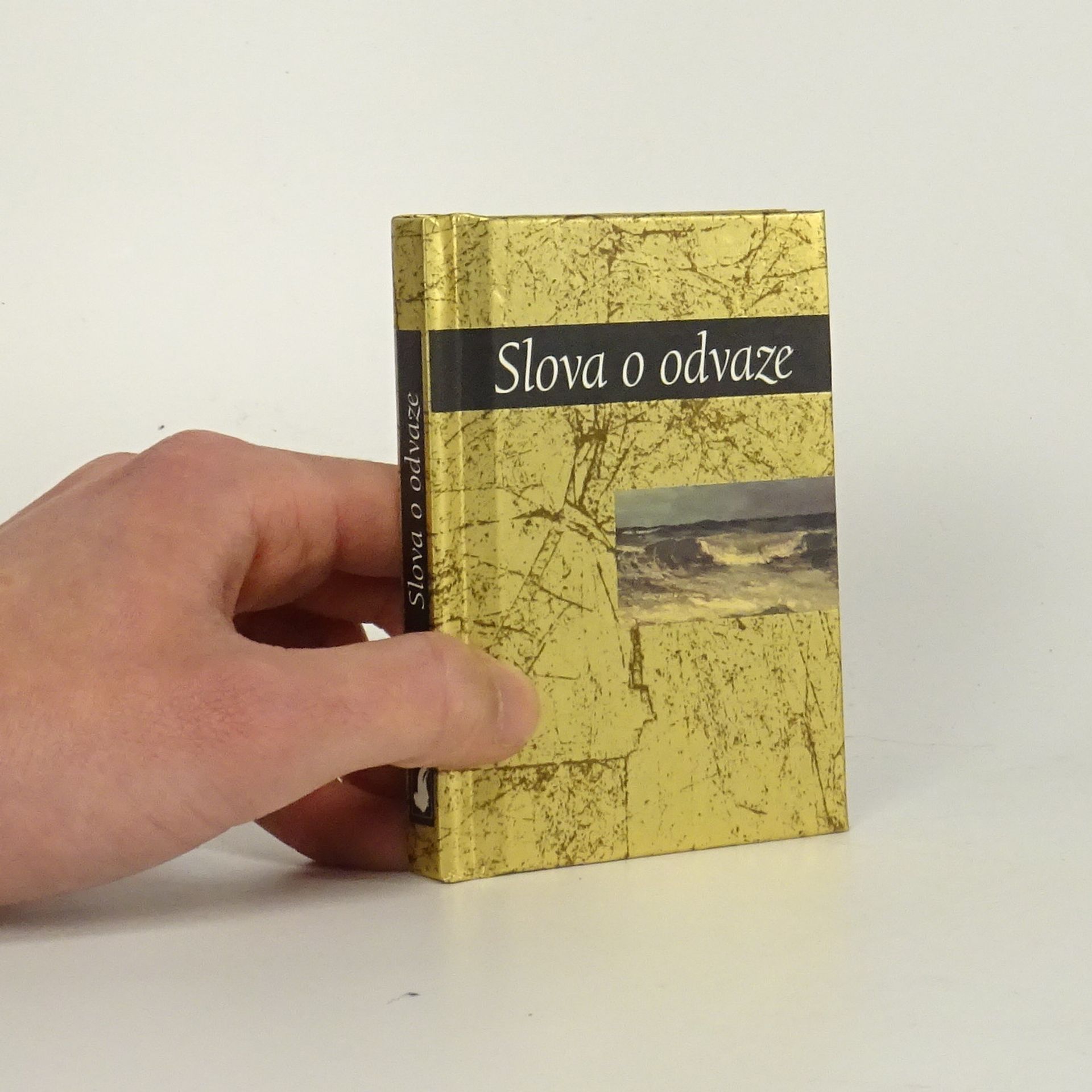 Helen Exley Slova o odvaze