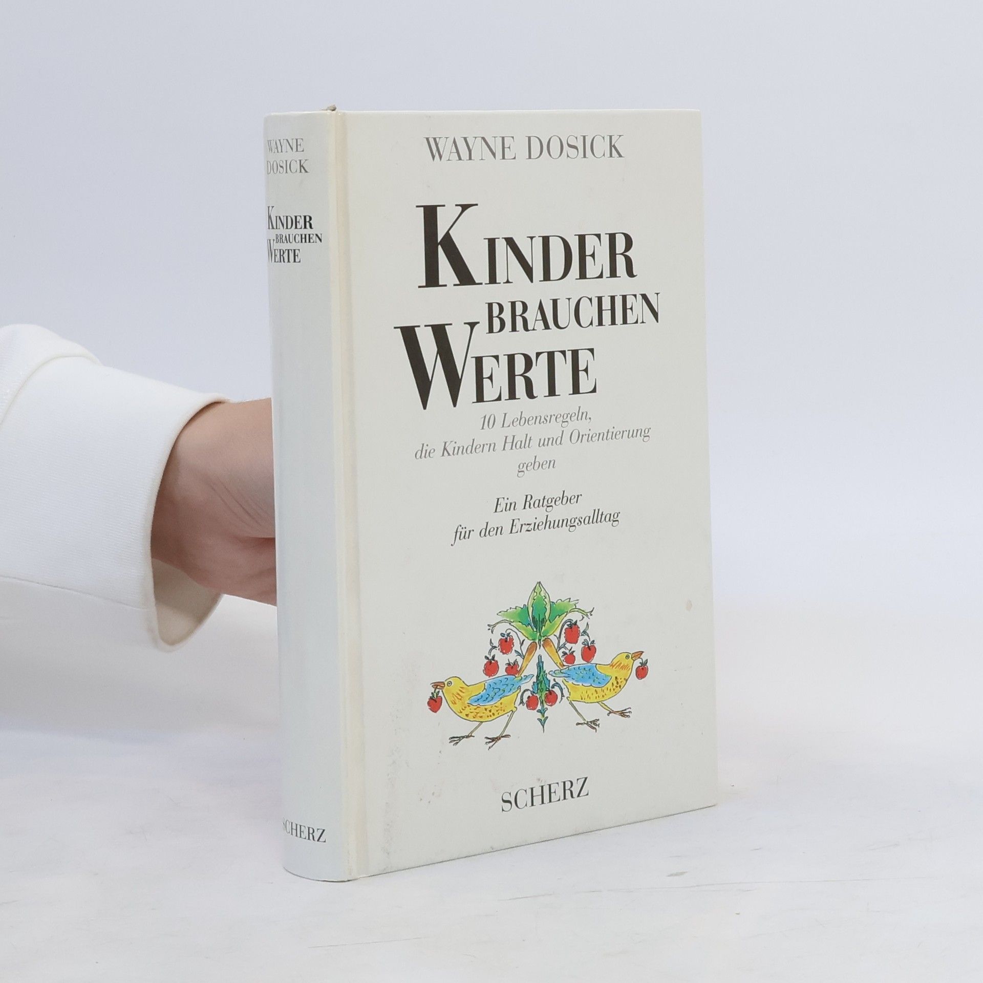 Wayne Dosick Kinder brauchen Werte