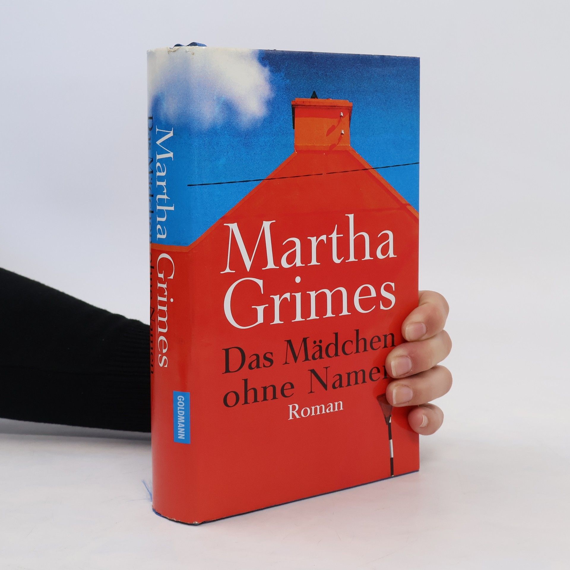 Martha Grimer Das Mädchen ohne Namen