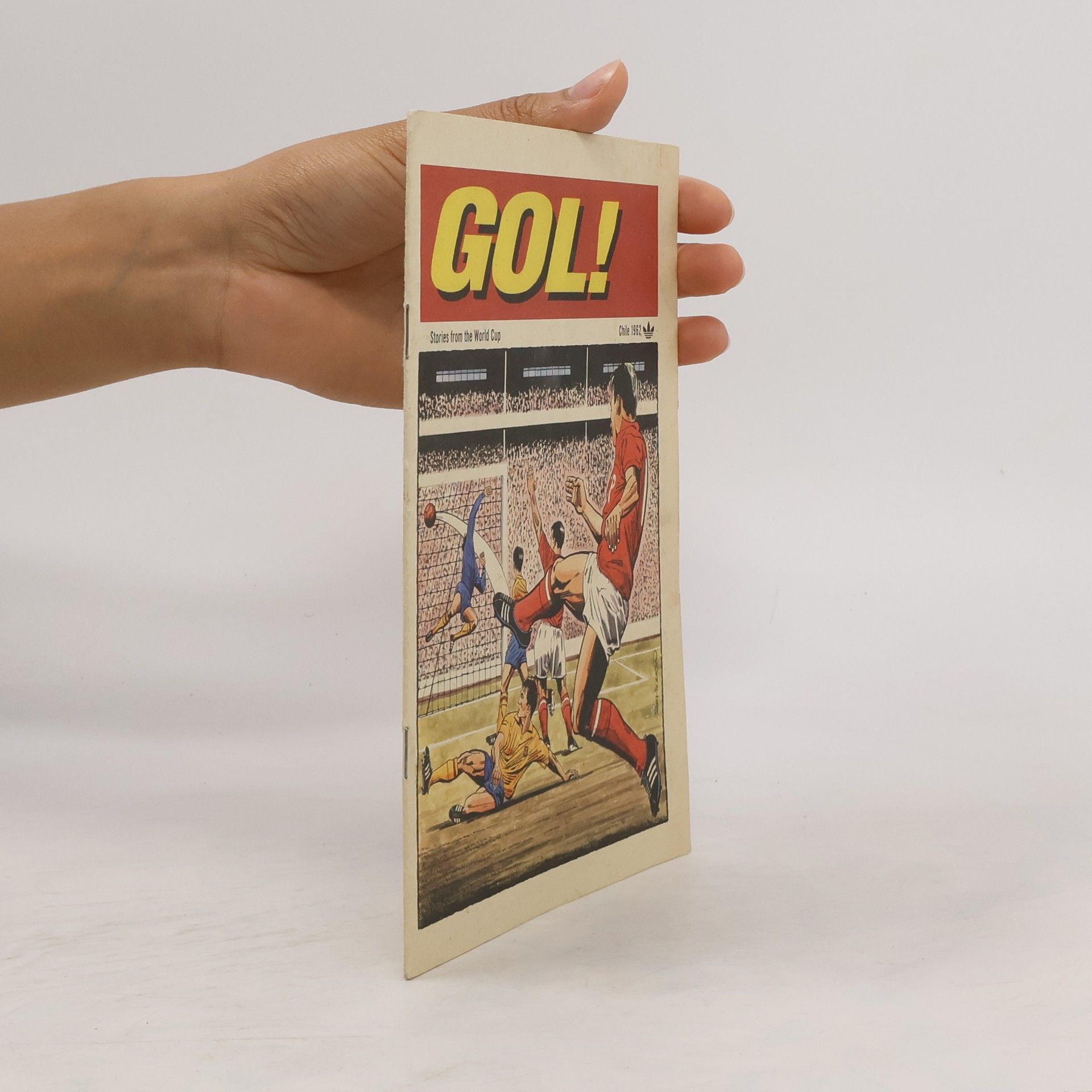 Autorenkollektiv Gol! Stories from the World Cup