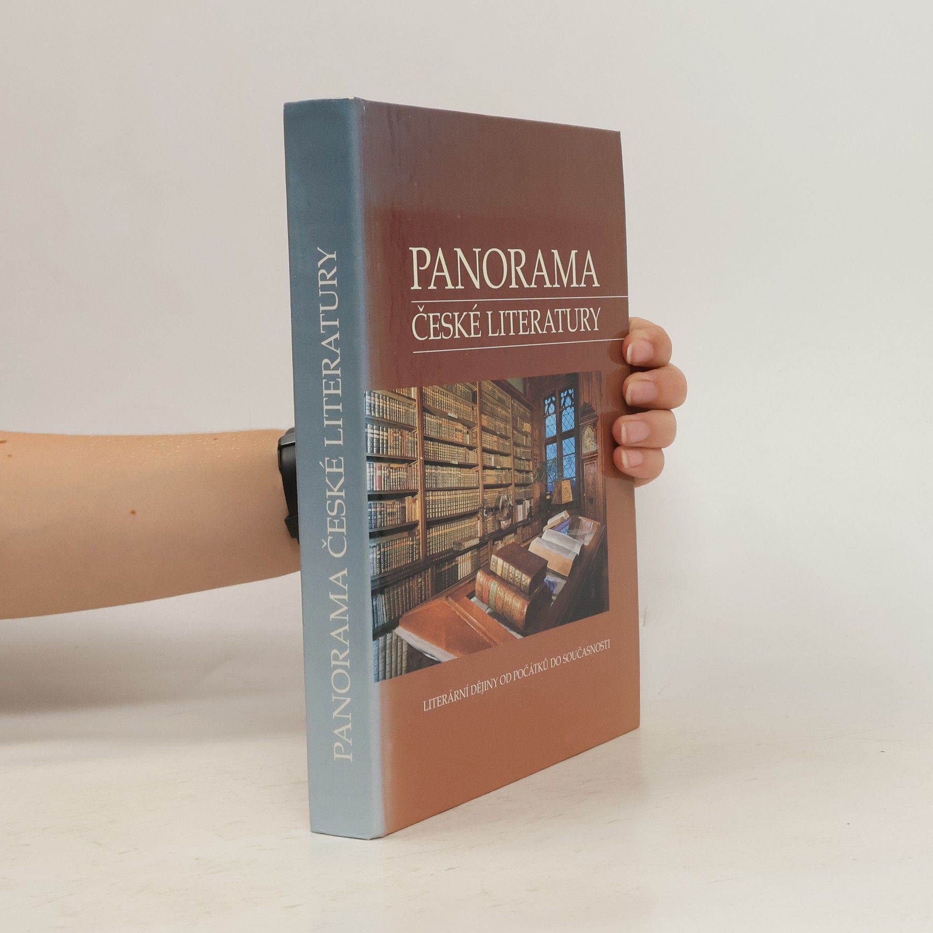 kolektiv Panorama české literatury. Literární dějiny od počátků do současnosti