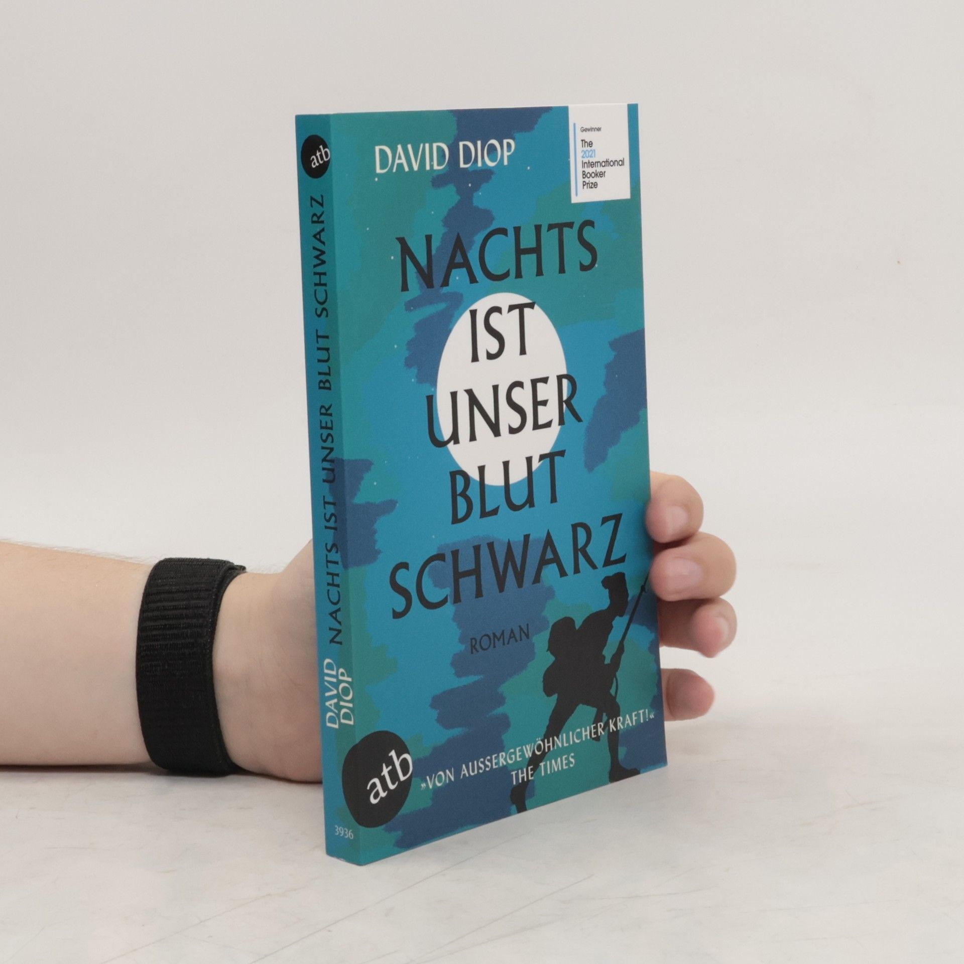 David Diop Nachts ist unser Blut schwarz