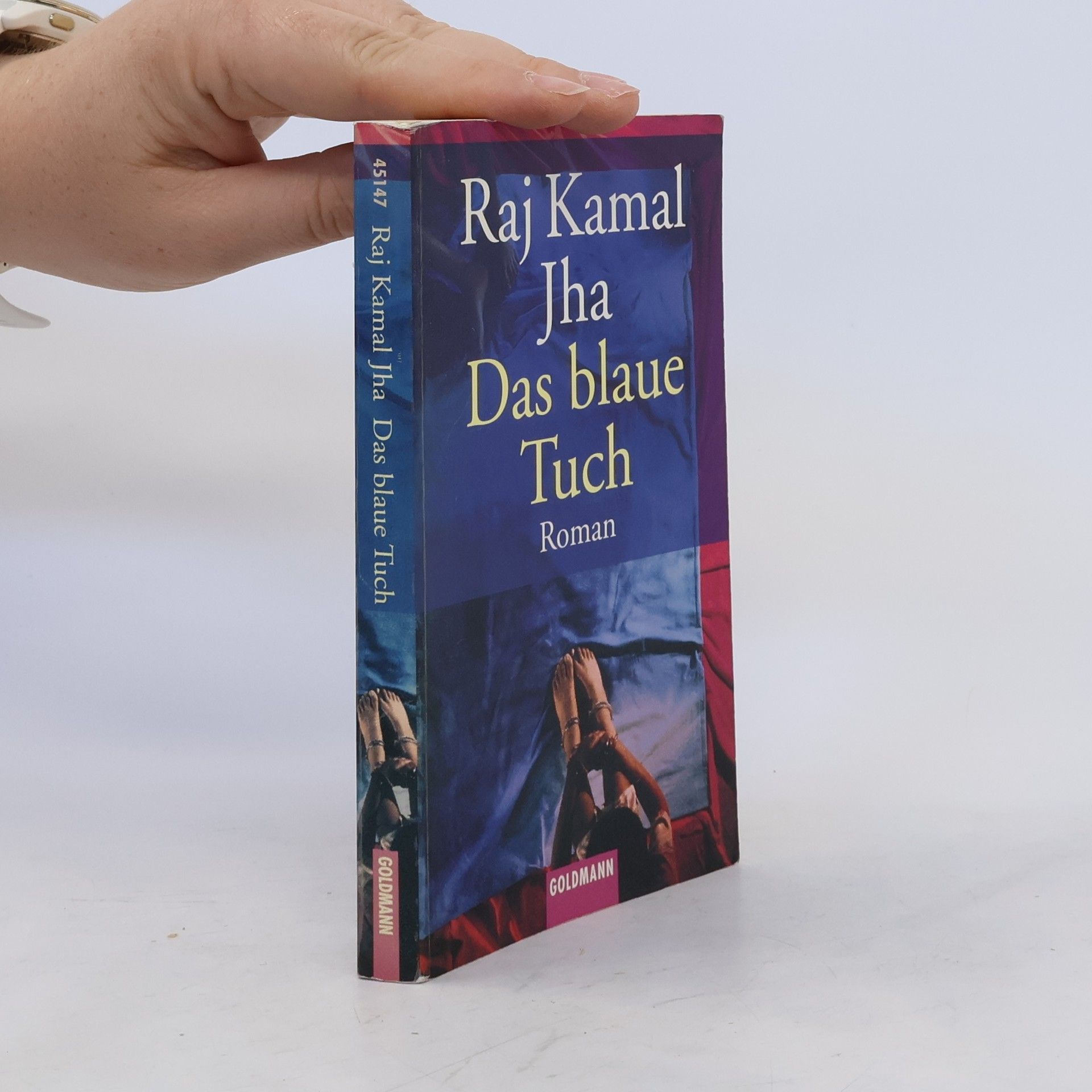 Raj Kamal Jha Das blaue Tuch