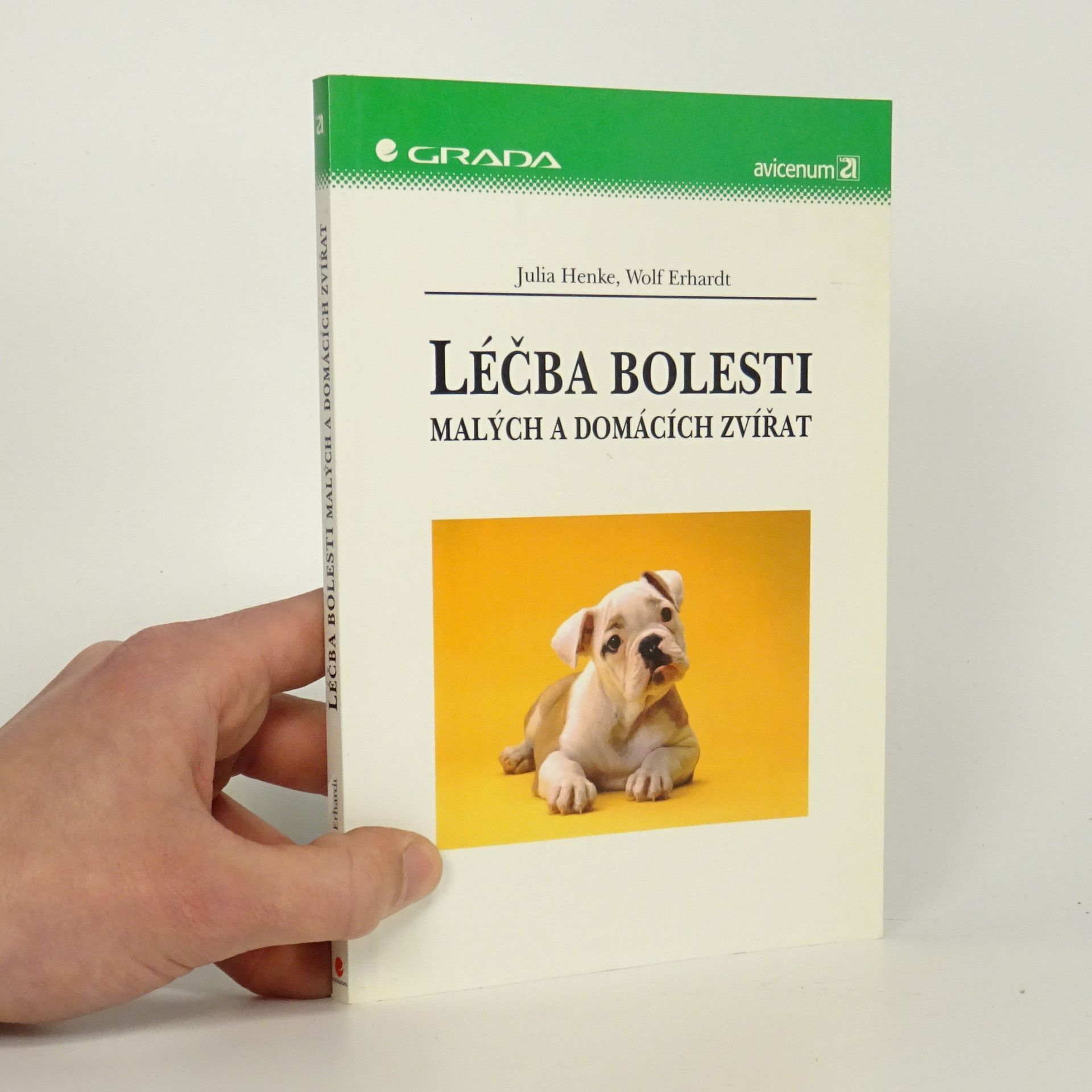 Julia Henke Léčba bolesti malých a domácích zvířat