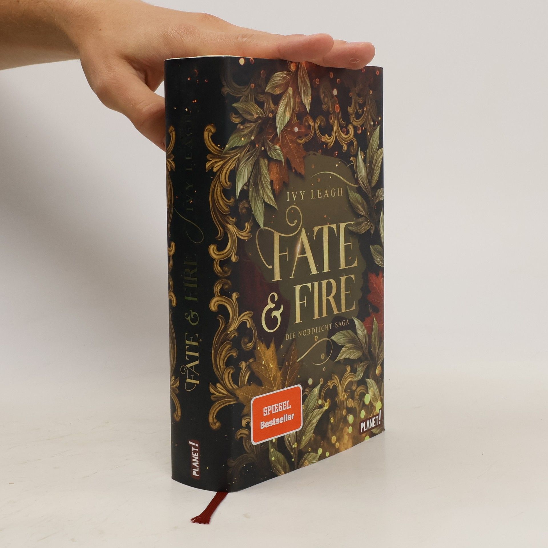 Ivy Leagh Die Nordlicht-Saga 1: Fate and Fire