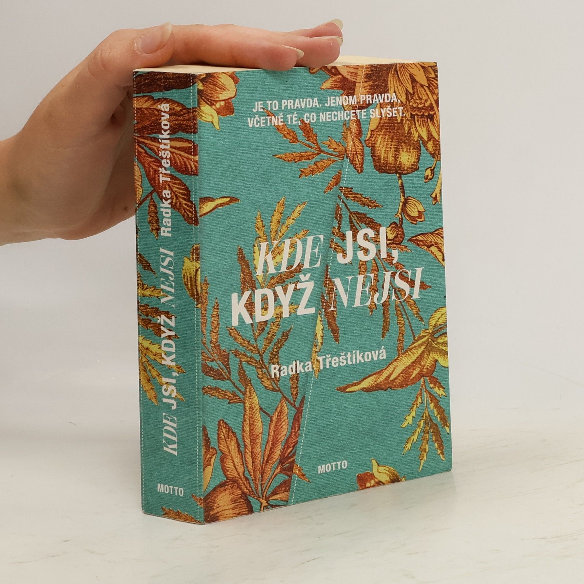 Radka Třeštíková Kde jsi, když nejsi