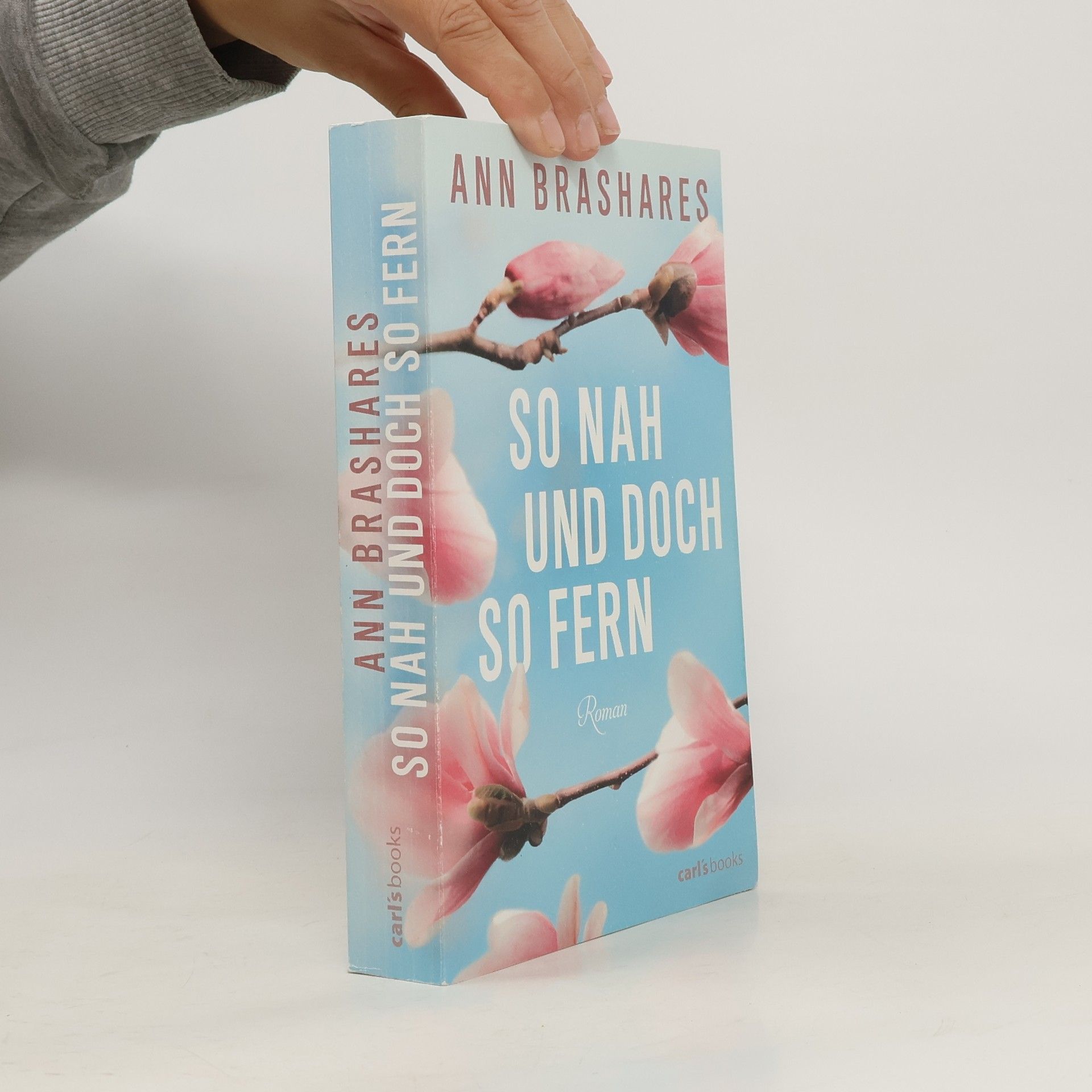 Anna Brashares So nah und doch so fern