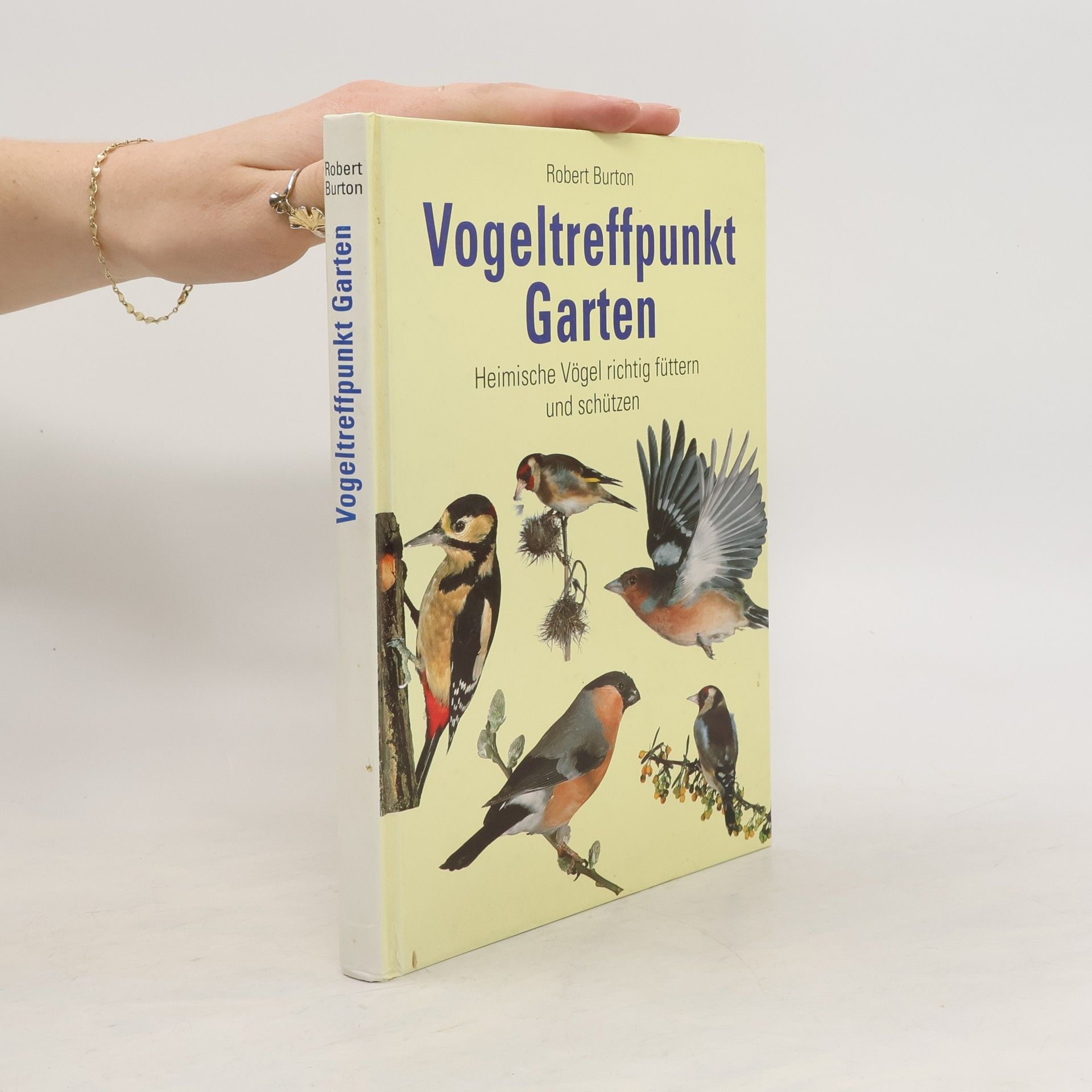 Robert Burton Vogeltreffpunkt Garten