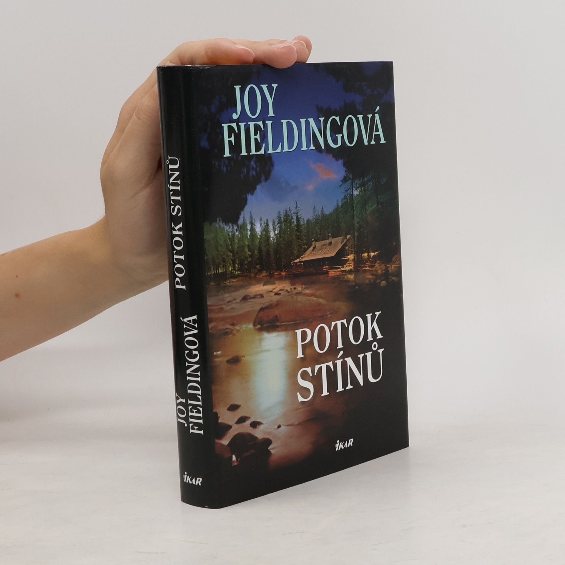 Joy Fielding Potok stínů