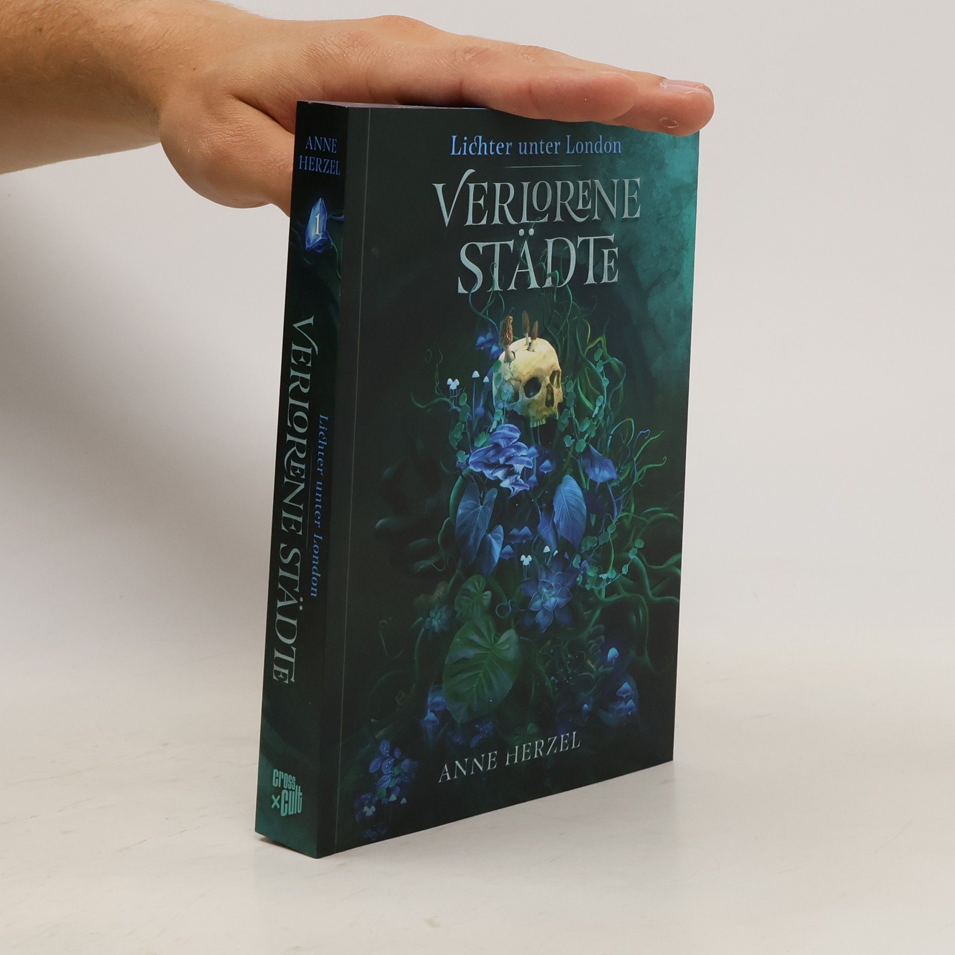 Anne Herzel Verlorene Städte
