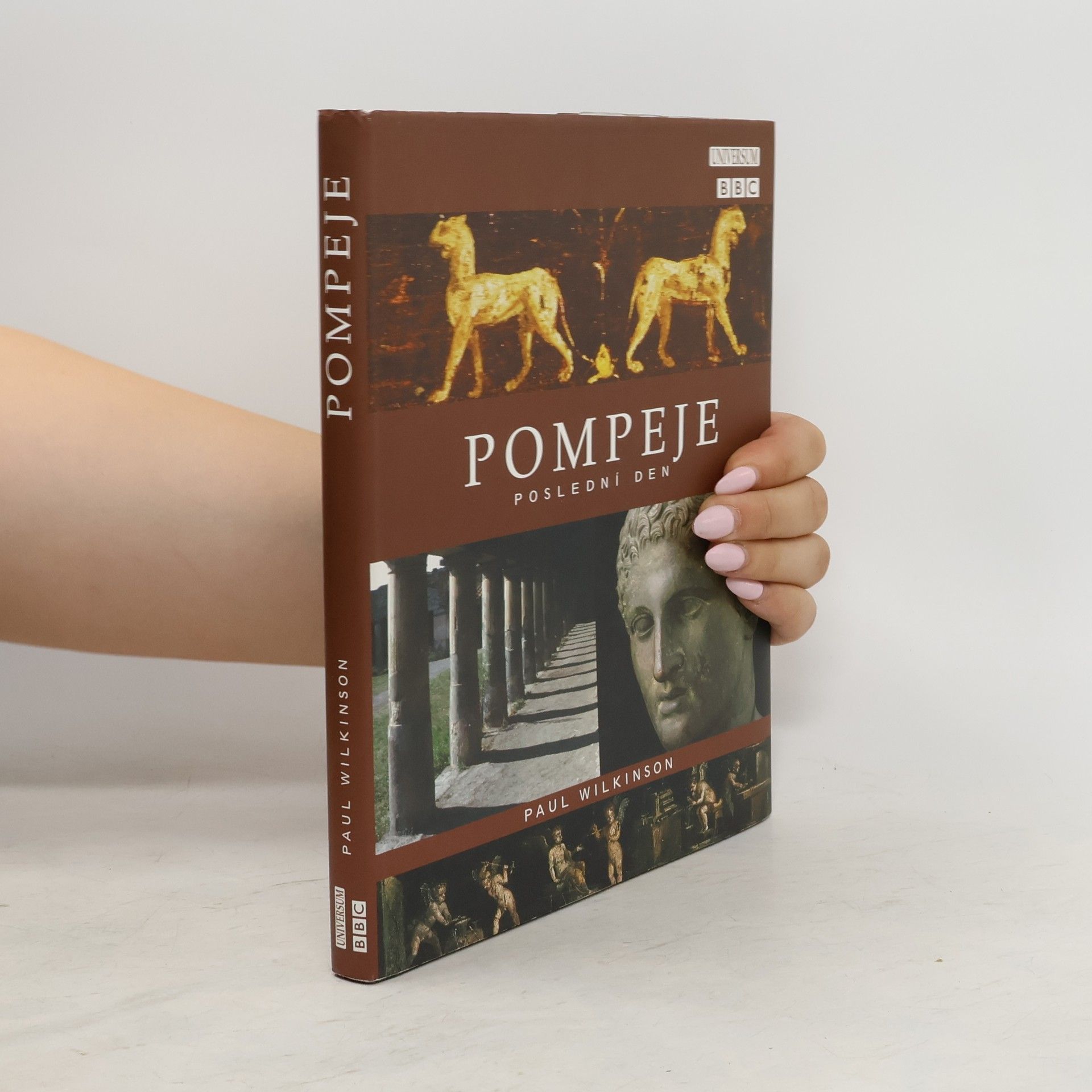 Paul Wilkinson Pompeje: poslední den