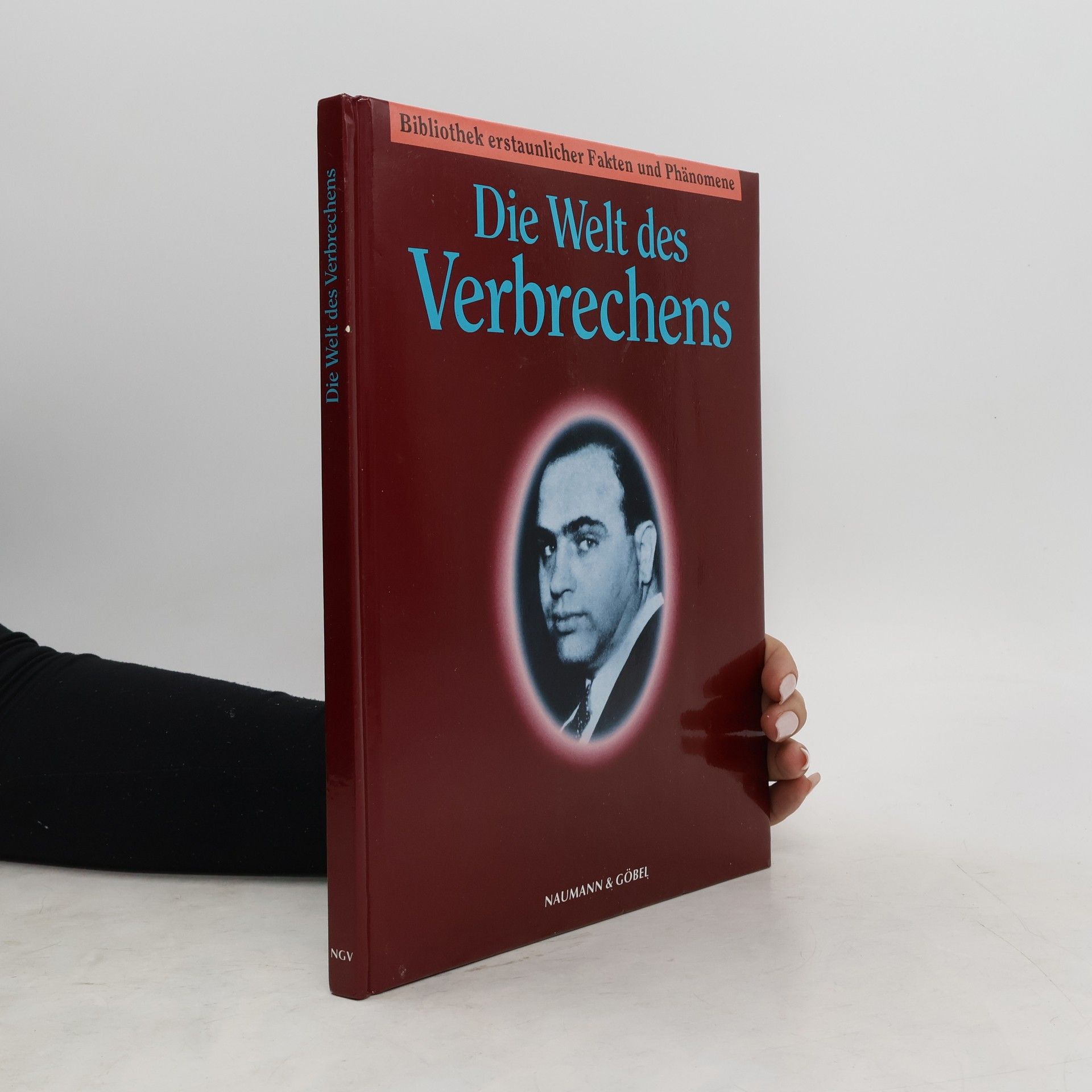 Autorenkollektiv Die Welt des Verbrechens.