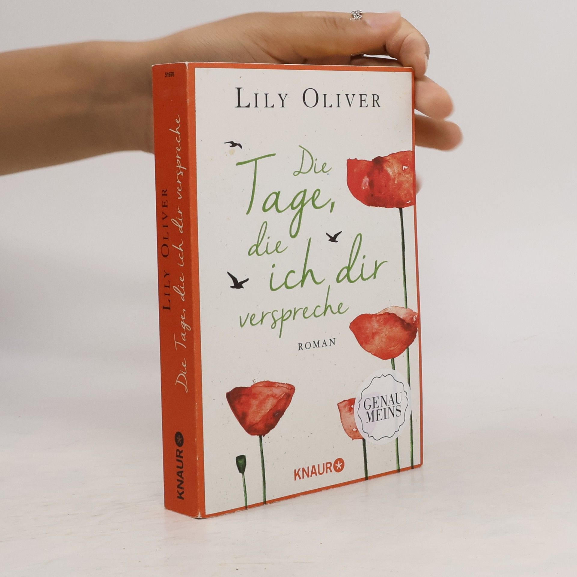 Lily Oliver Die Tage, die ich dir verspreche