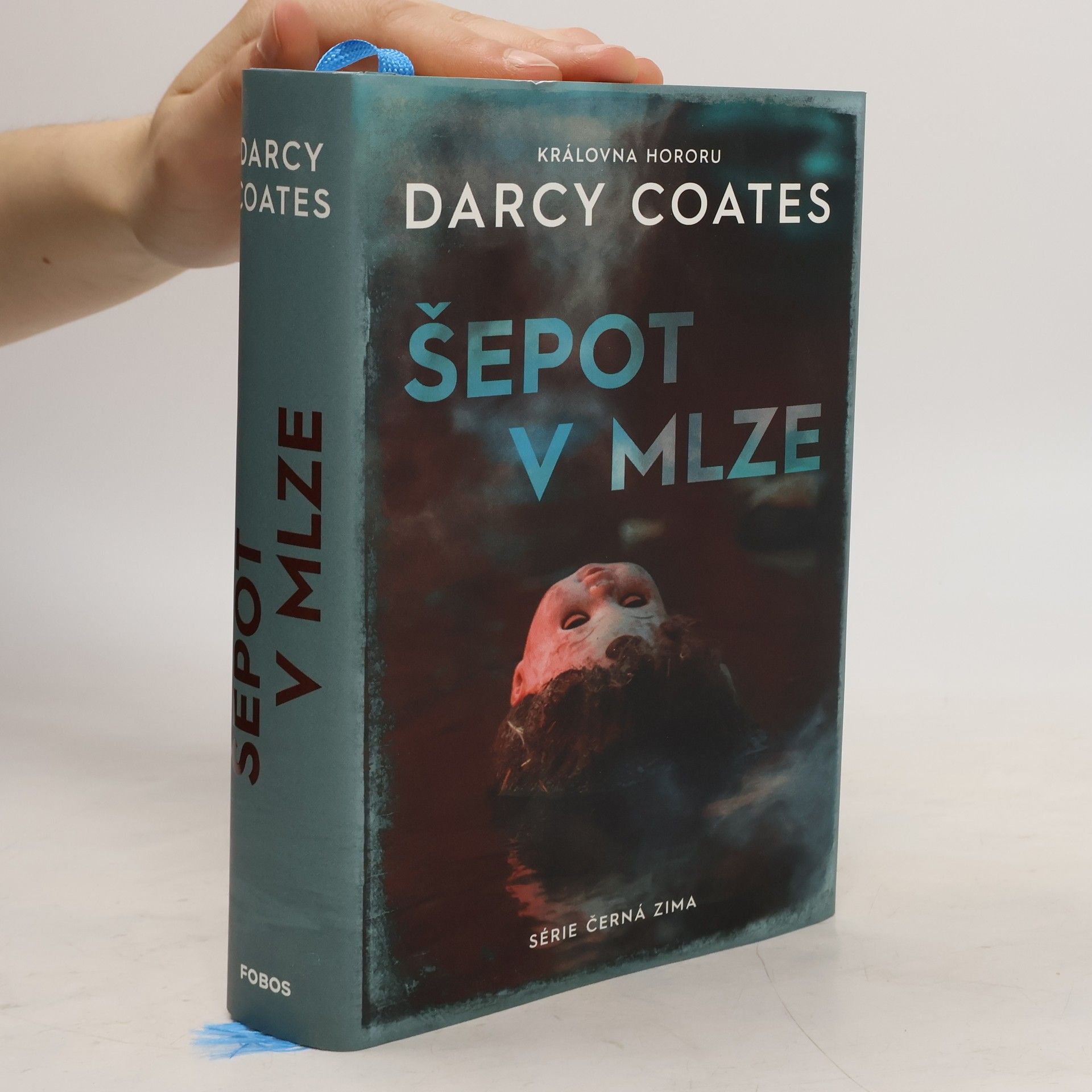 Darcy Coates Šepot v mlze
