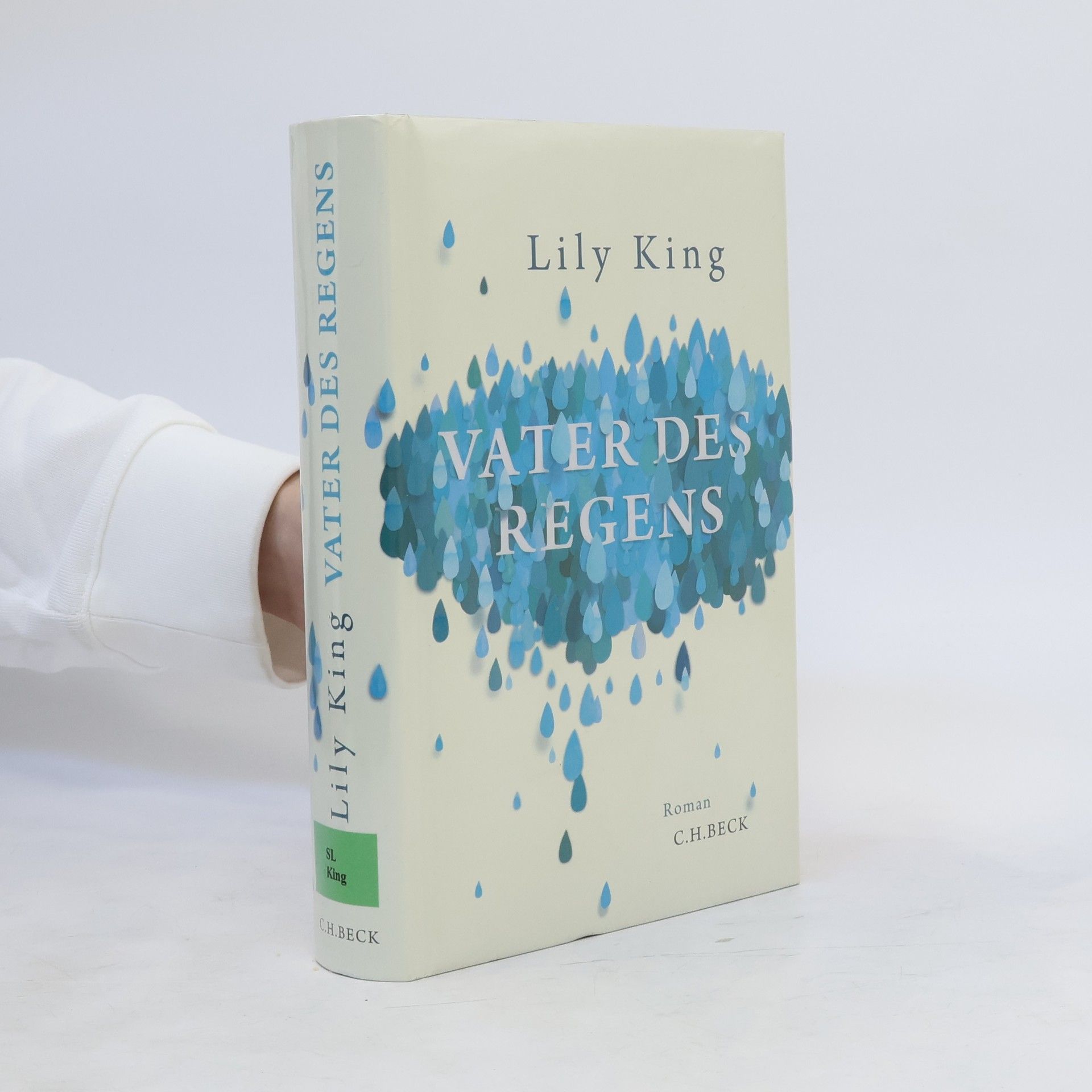Lily King Vater des Regens