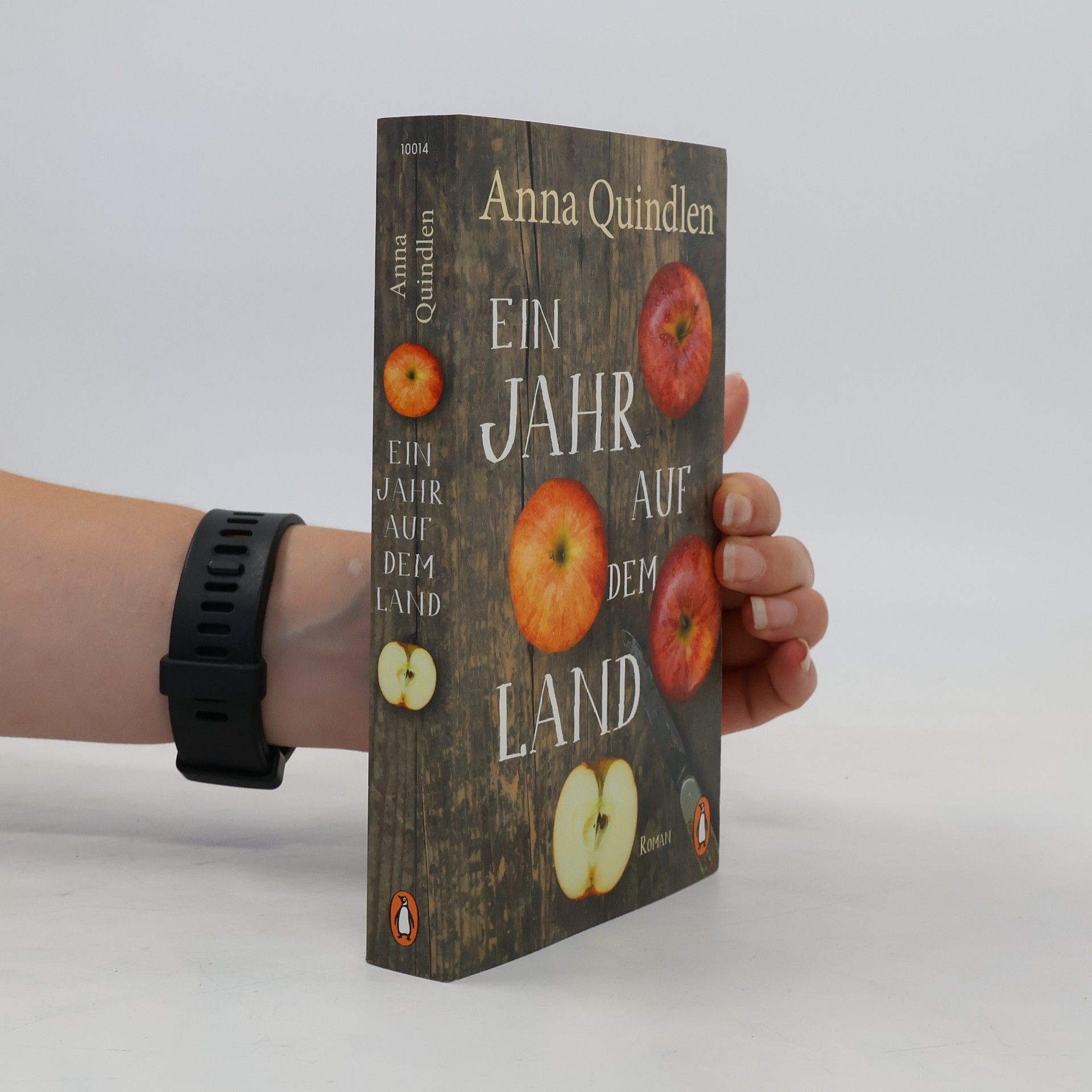 Anna Quindlen Ein Jahr auf dem Land