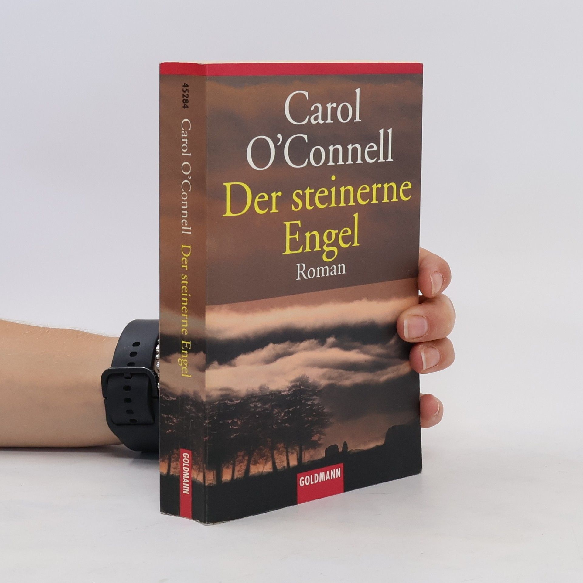 Carol O. Connell Der steinerne Engel