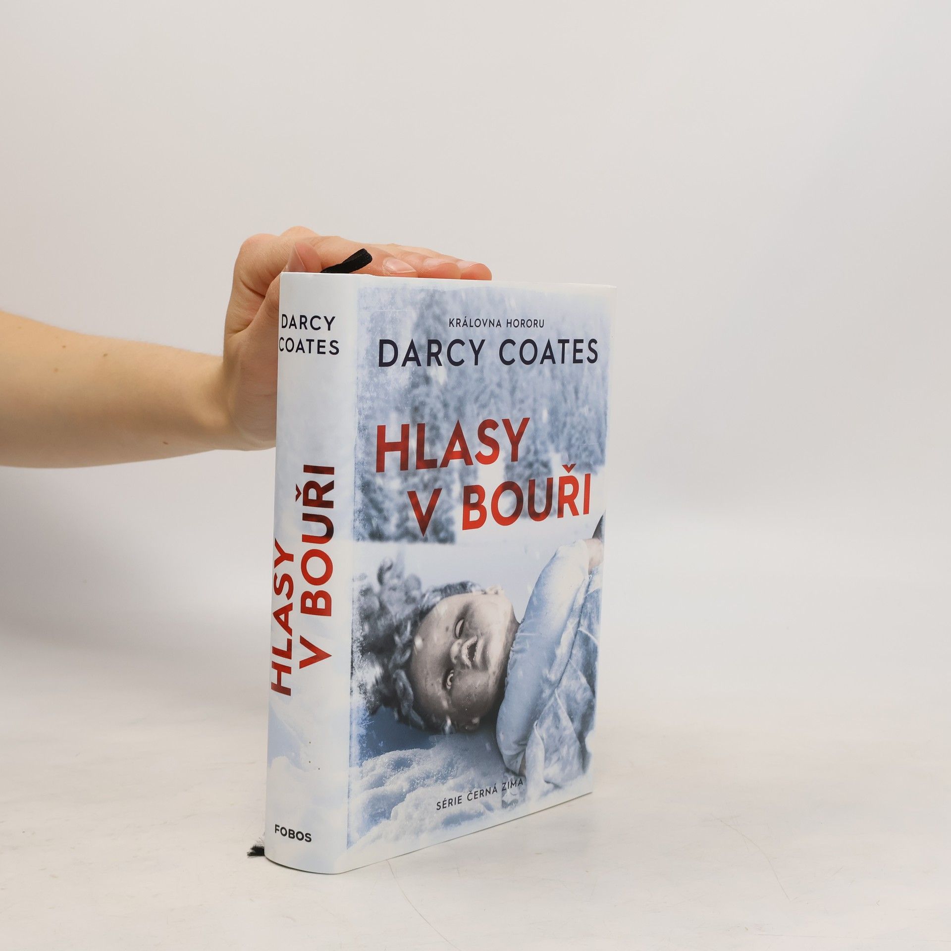 Darcy Coates Hlasy v bouři