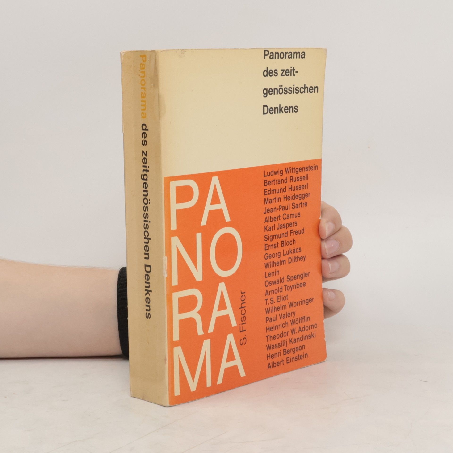 AA.VV. Panorama des zeitgenössischen Denkens