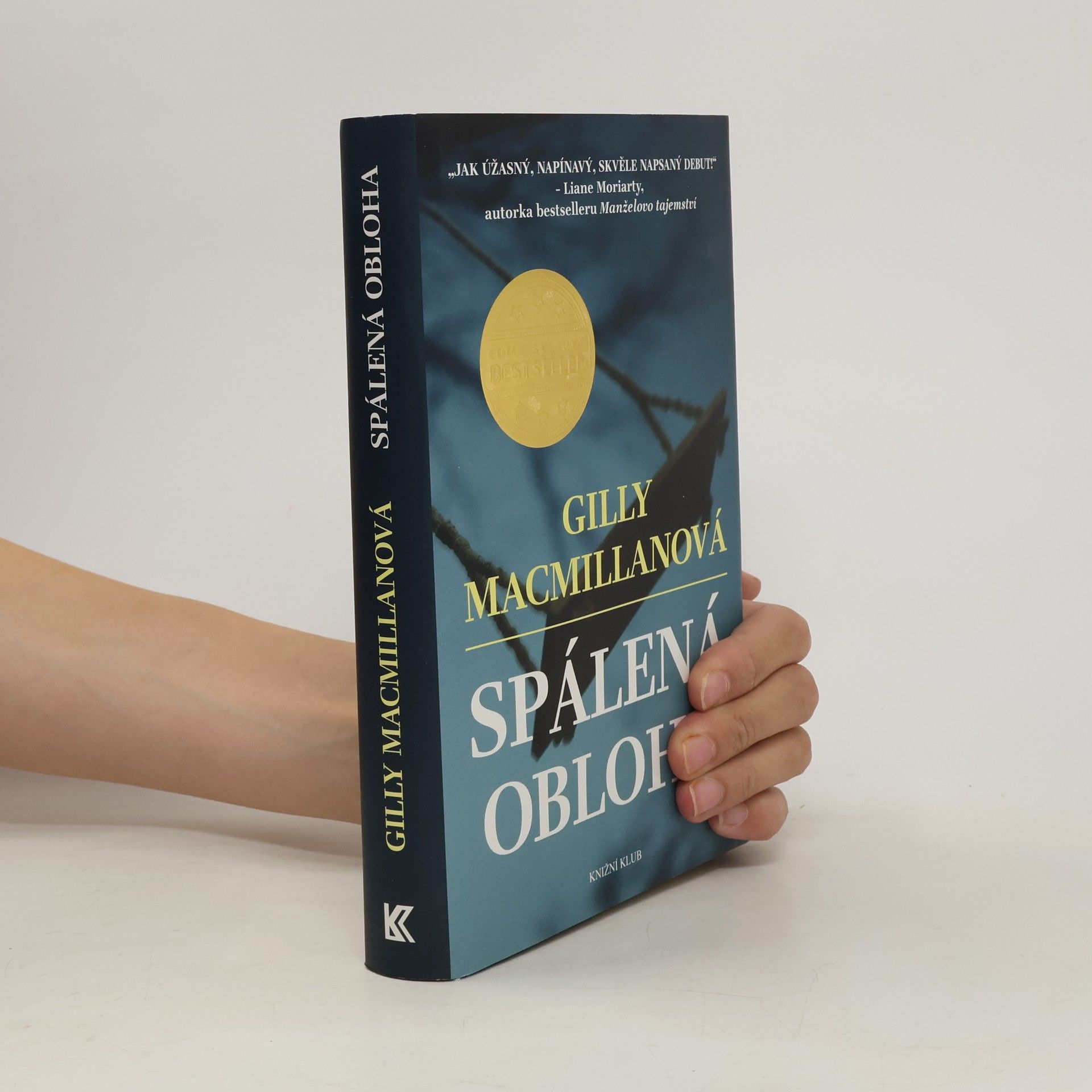 Gilly Macmillan Spálená obloha