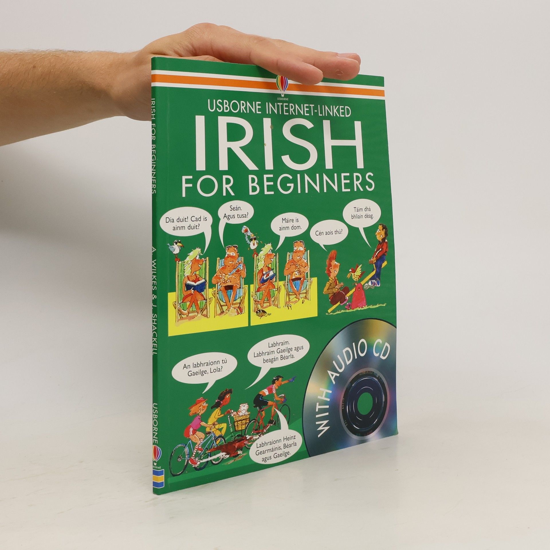 Angela Wilkes Irish for Beginners