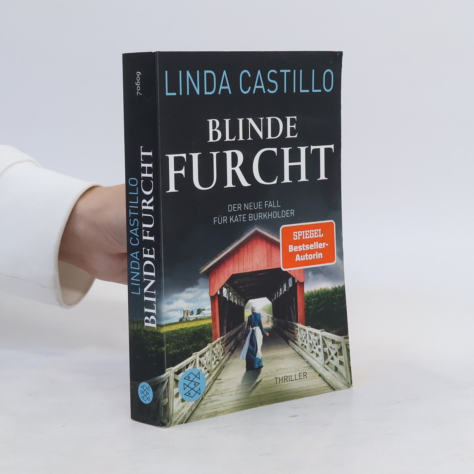 Linda Castillo Blinde Furcht