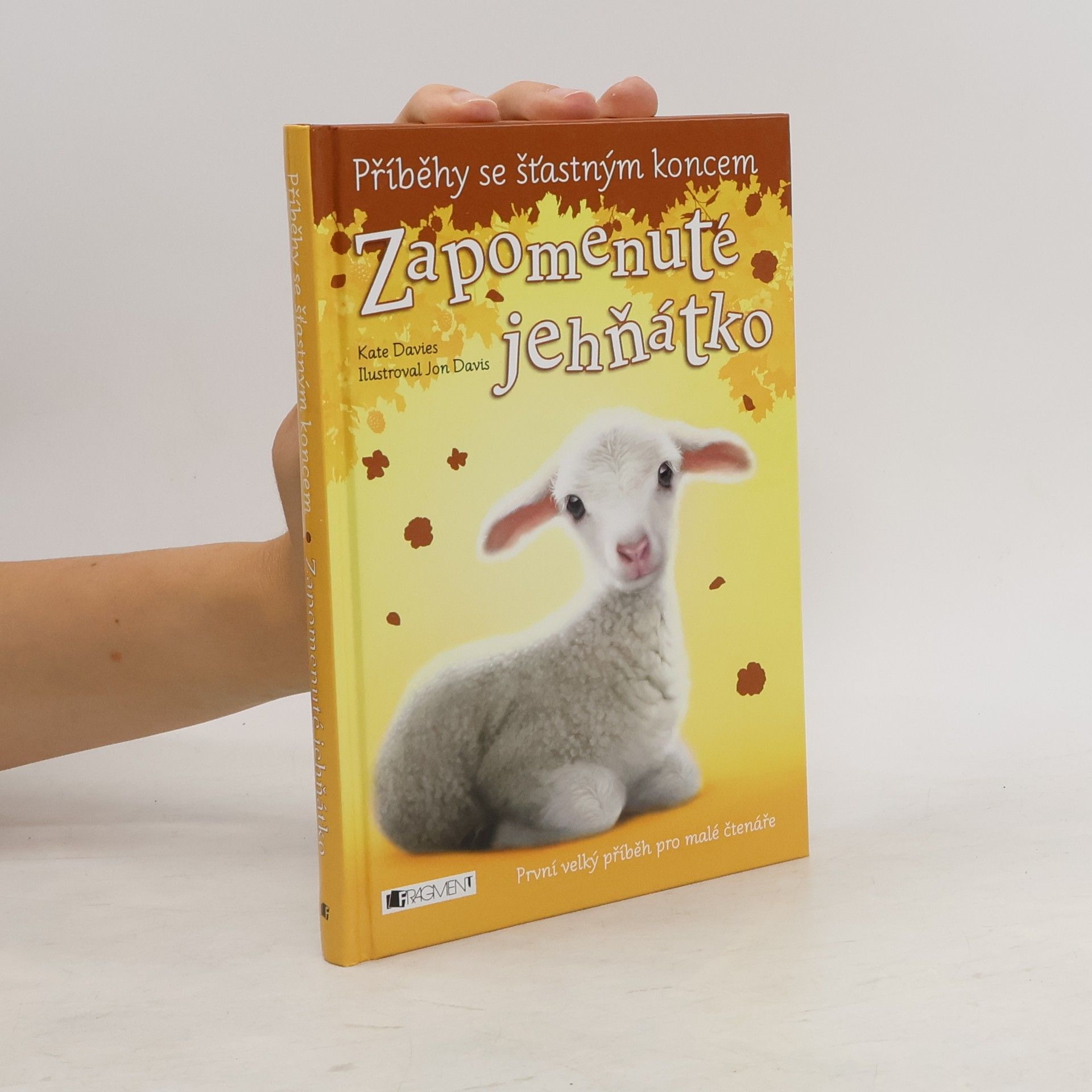 Katie Davies Zapomenuté jehňátko