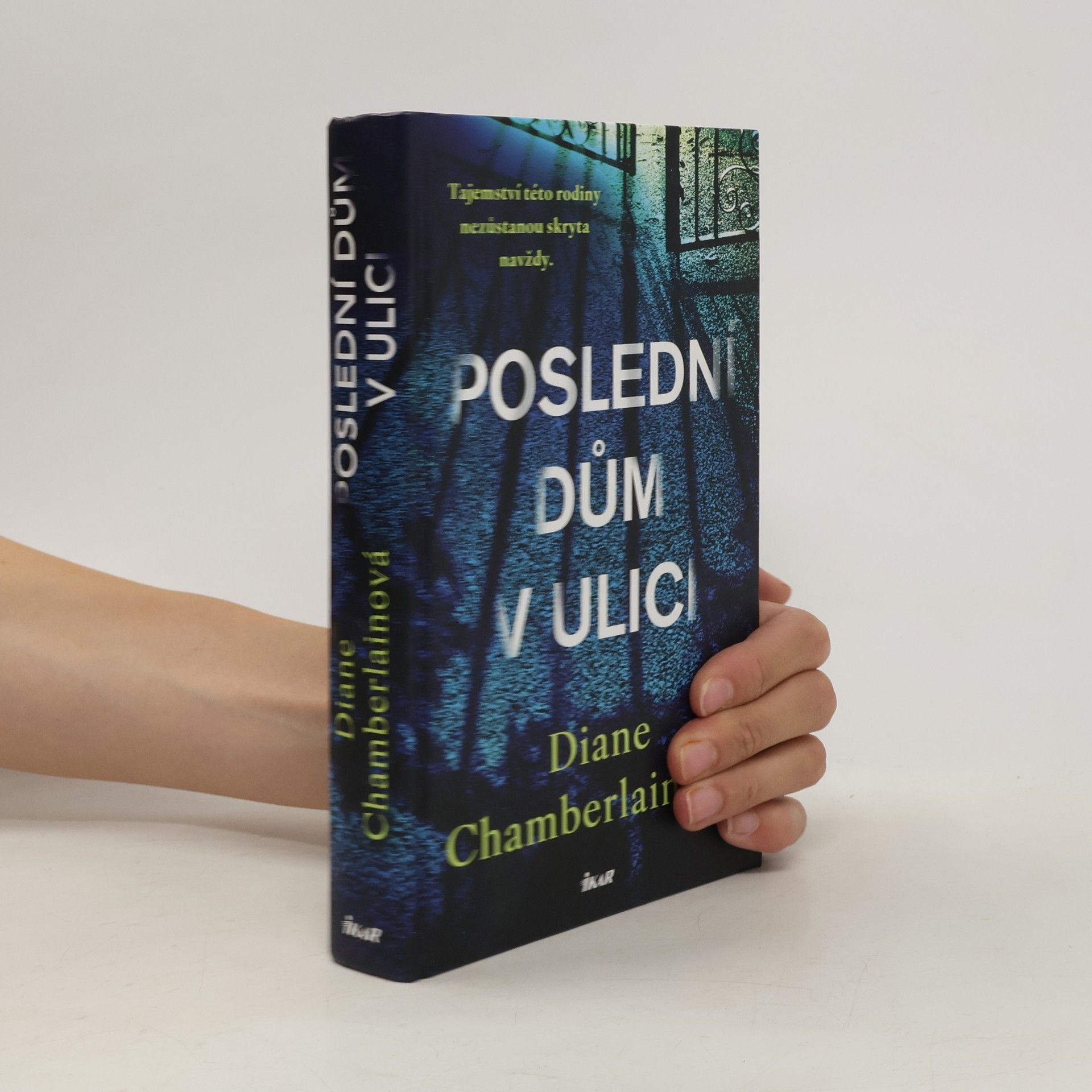Diane Chamberlain Poslední dům v ulici
