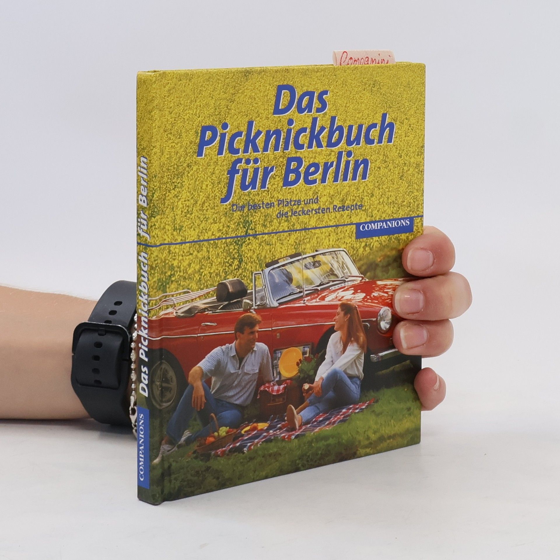 Sophie Luise Bauer Das Picknickbuch für Berlin