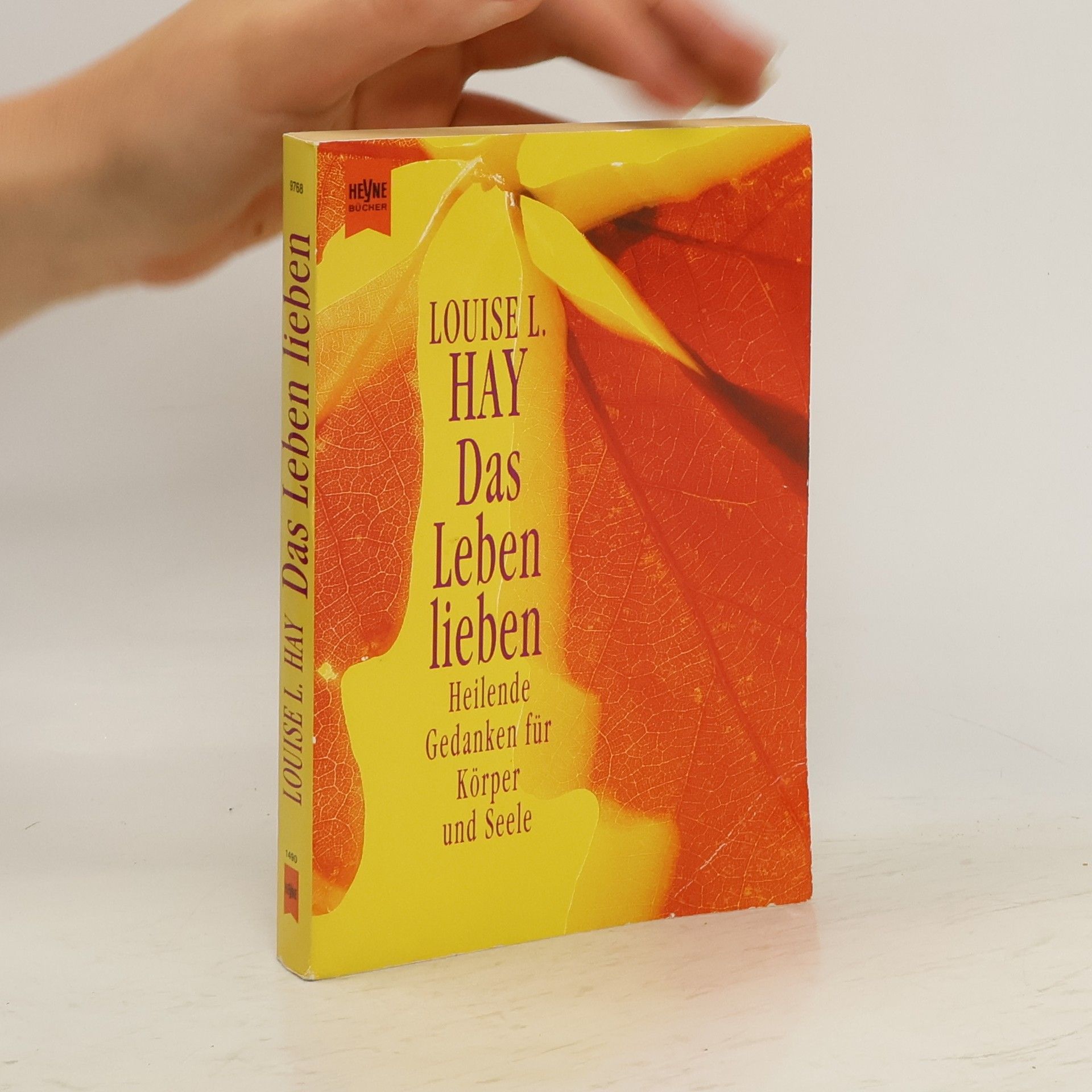 Louise Lynn Hay Das Leben lieben