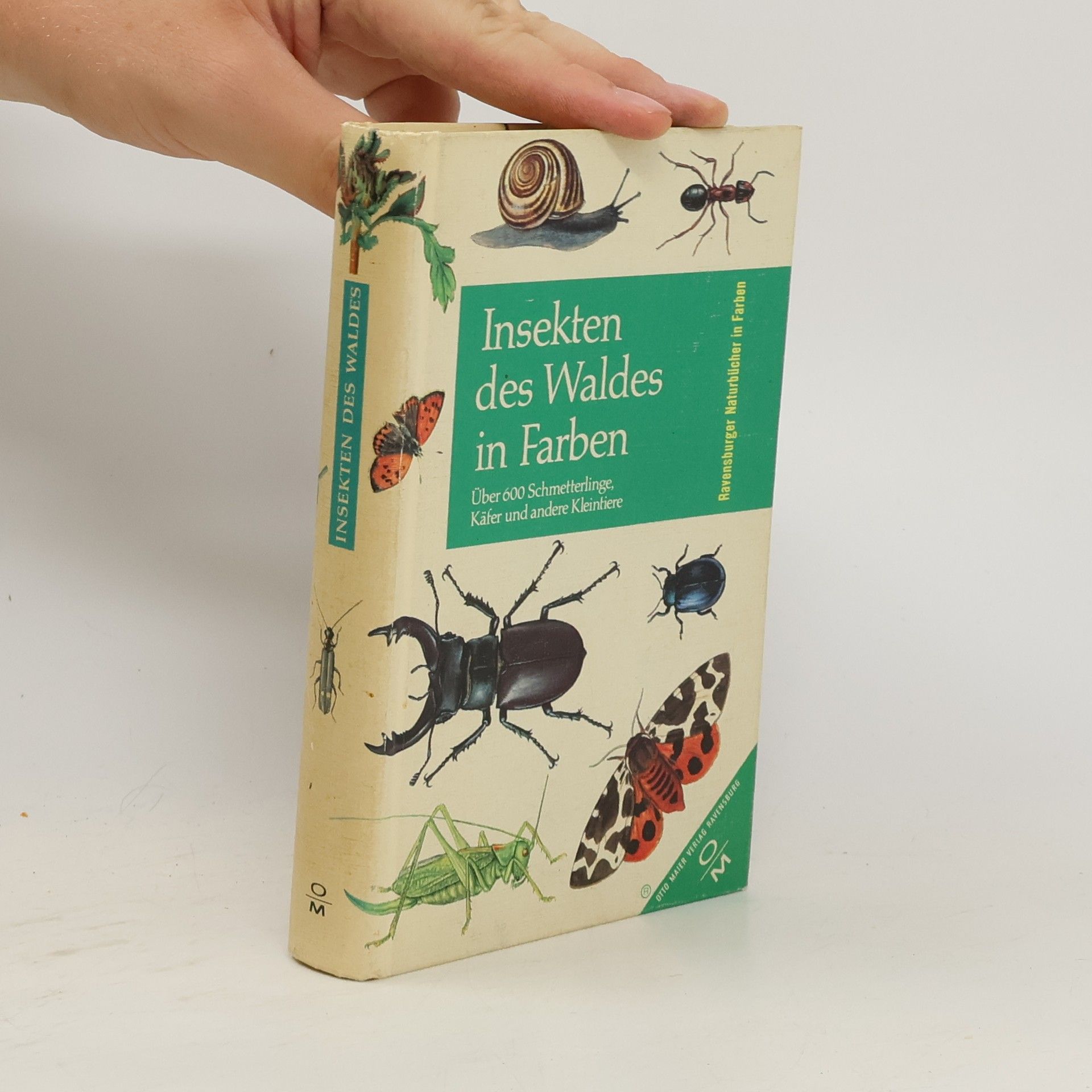 Heinz Schröder Insekten des Waldes in Farben