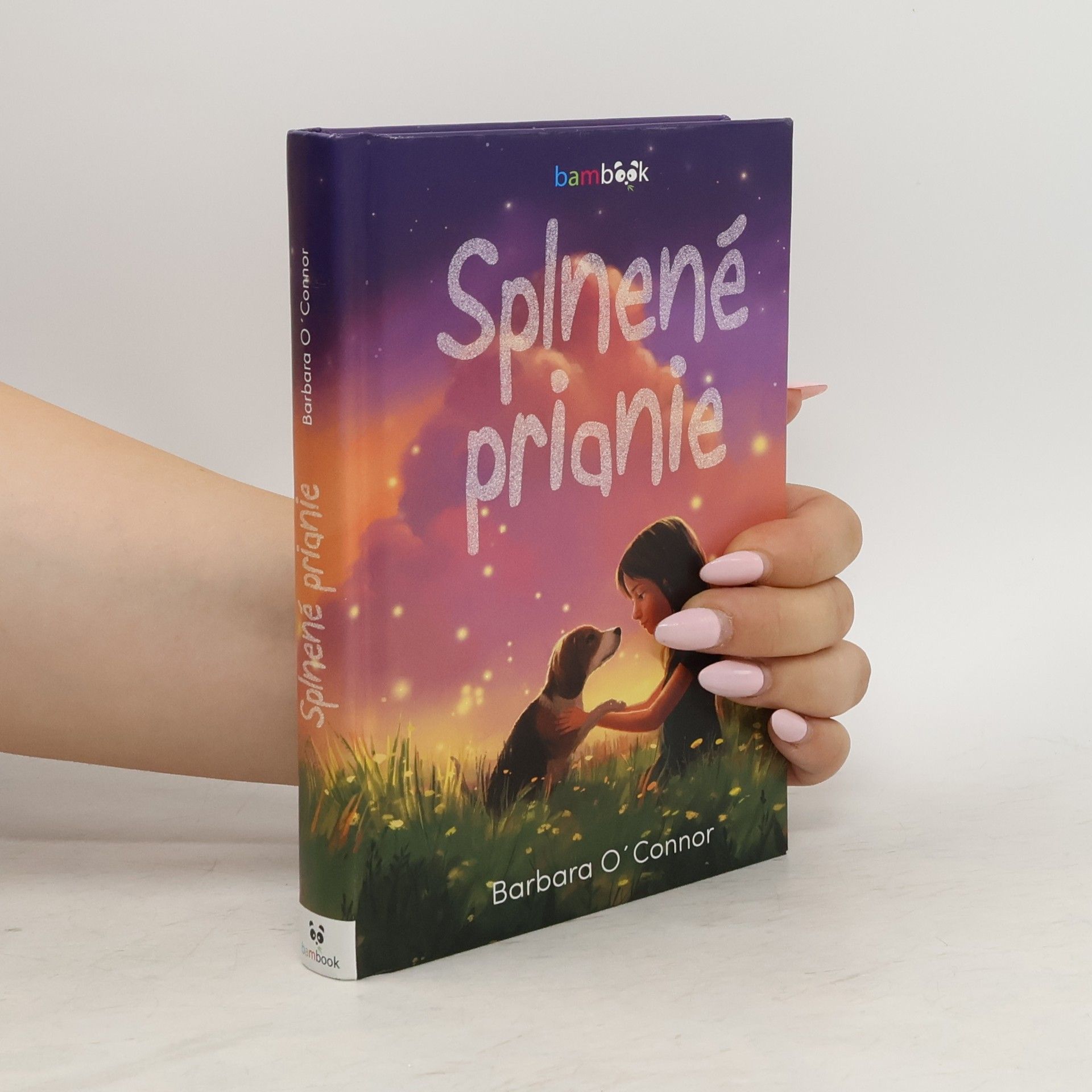 Barbara O'Connor Splnené prianie