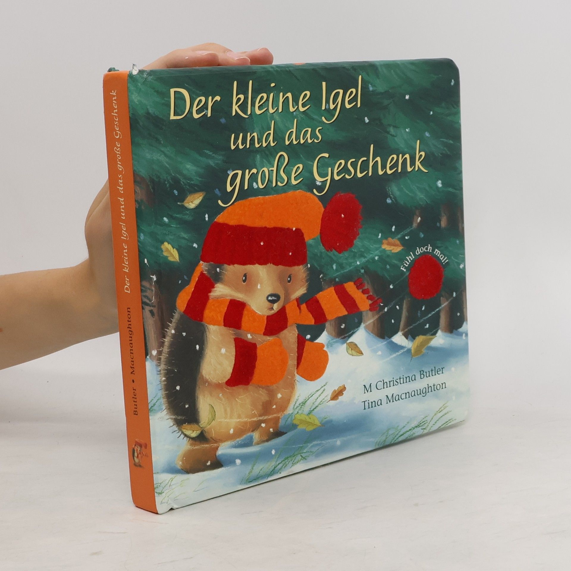 Christina M. Butler Der kleine Igel und das große Geschenk