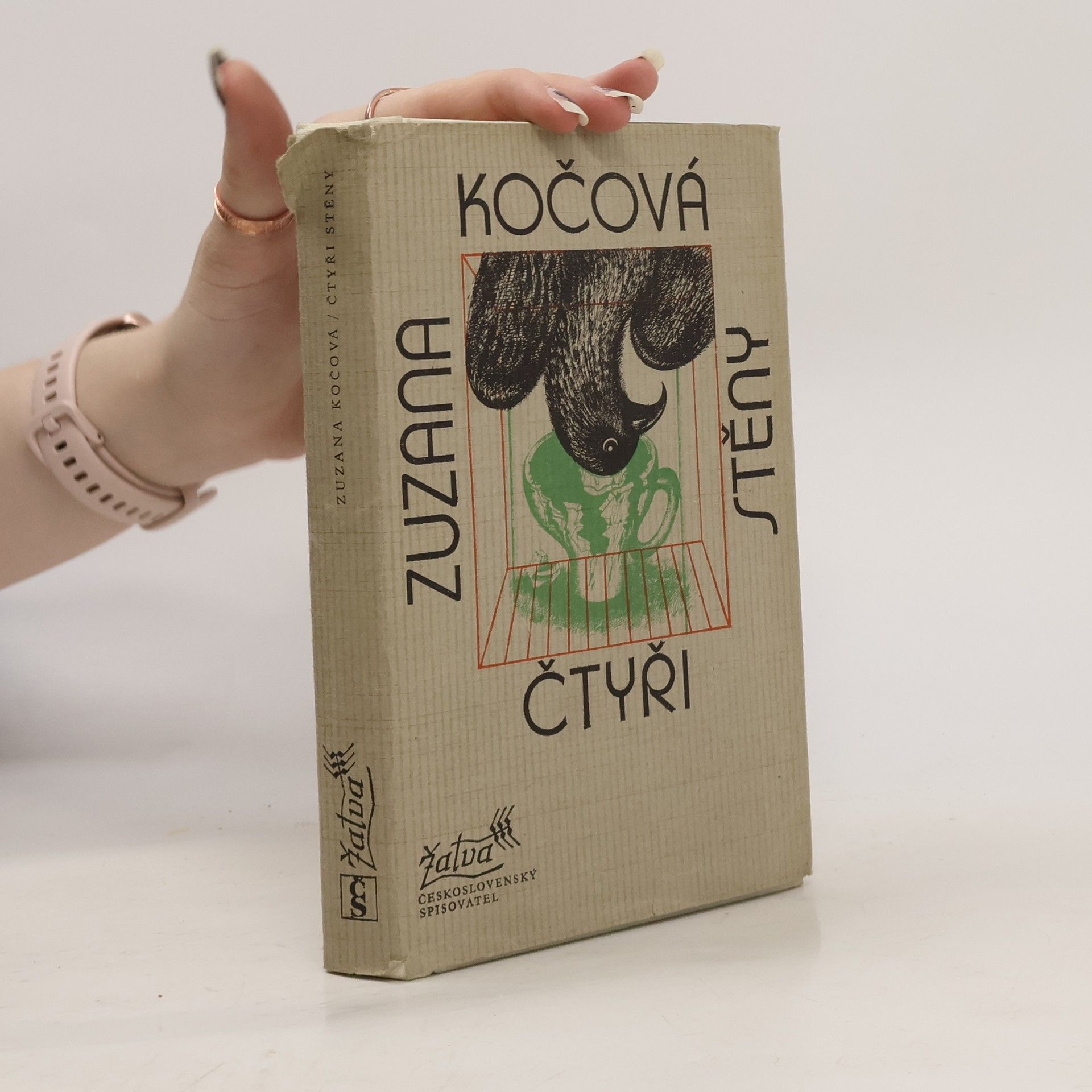 Zuzana Kočová Čtyři stěny