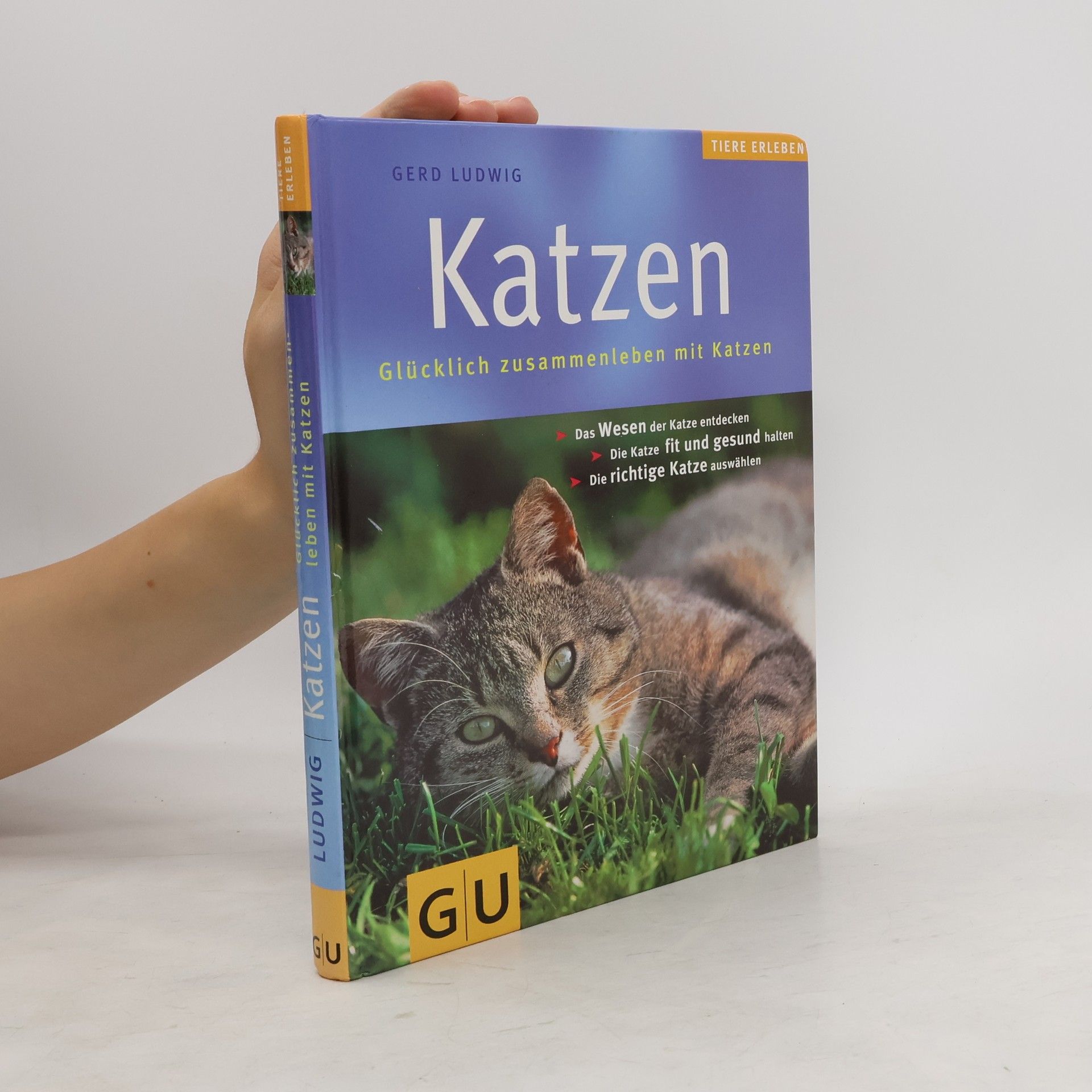 Gerd Ludwig Katzen