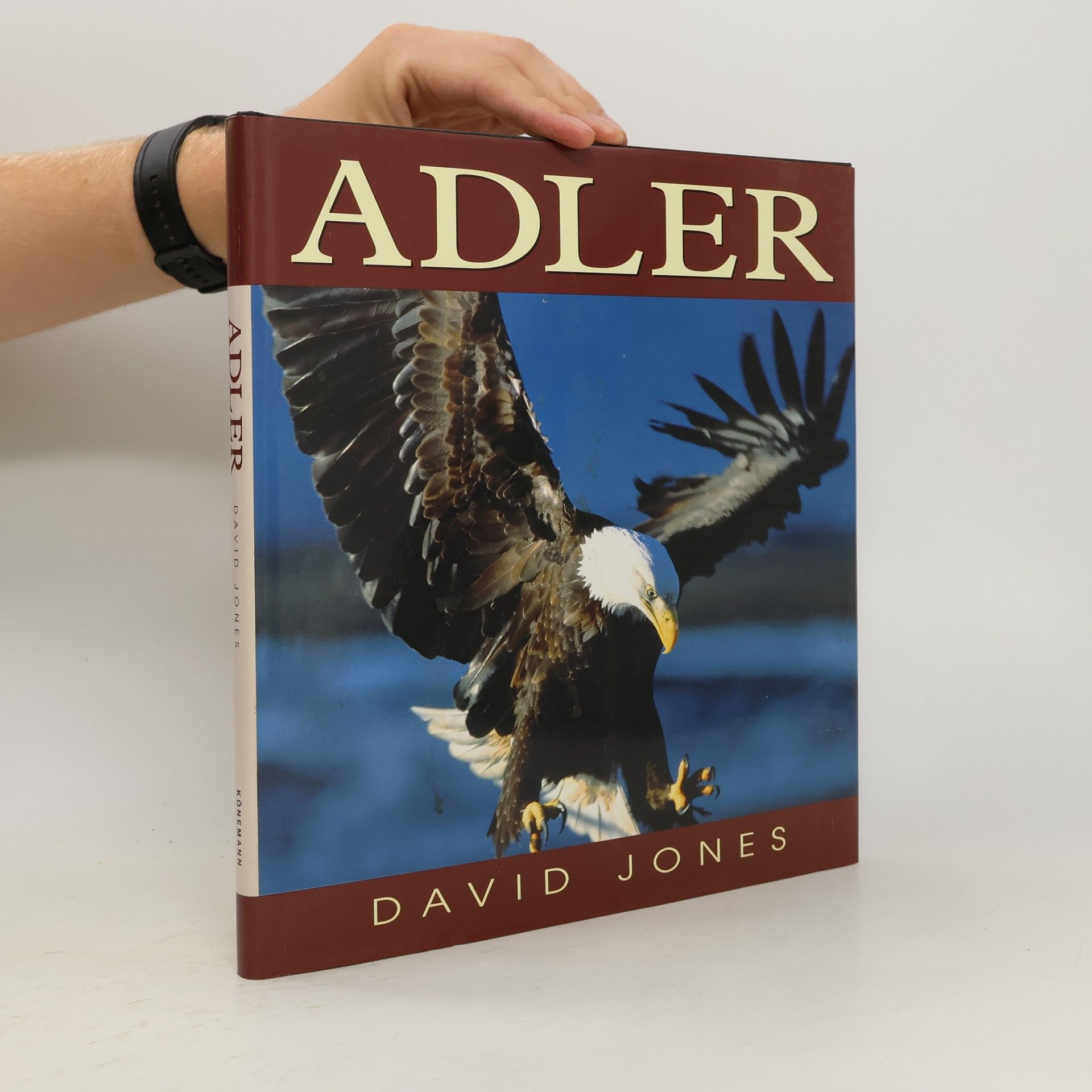 David Jones Adler