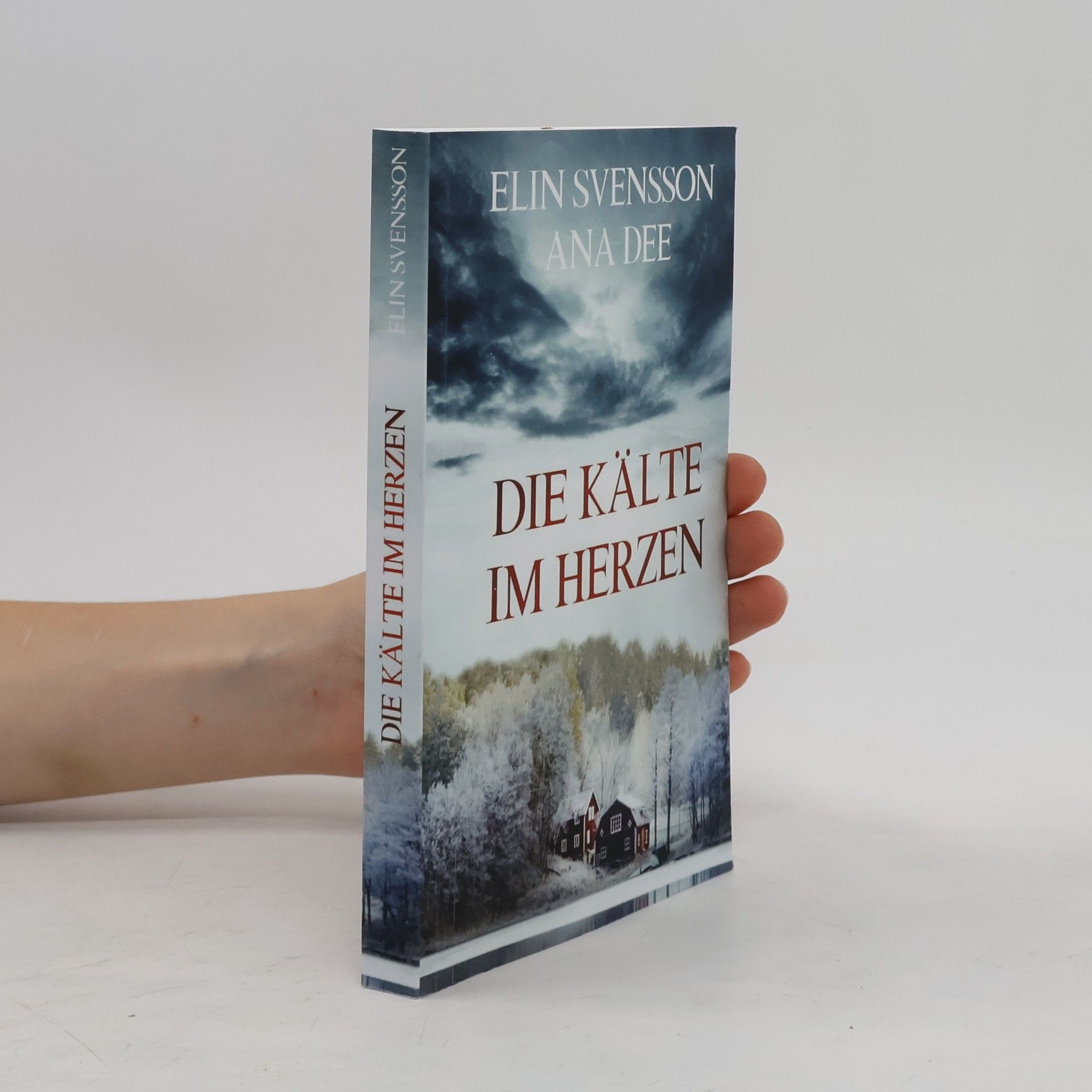 Ana Dee Bergström &amp; Viklund/Die Kälte im Herzen