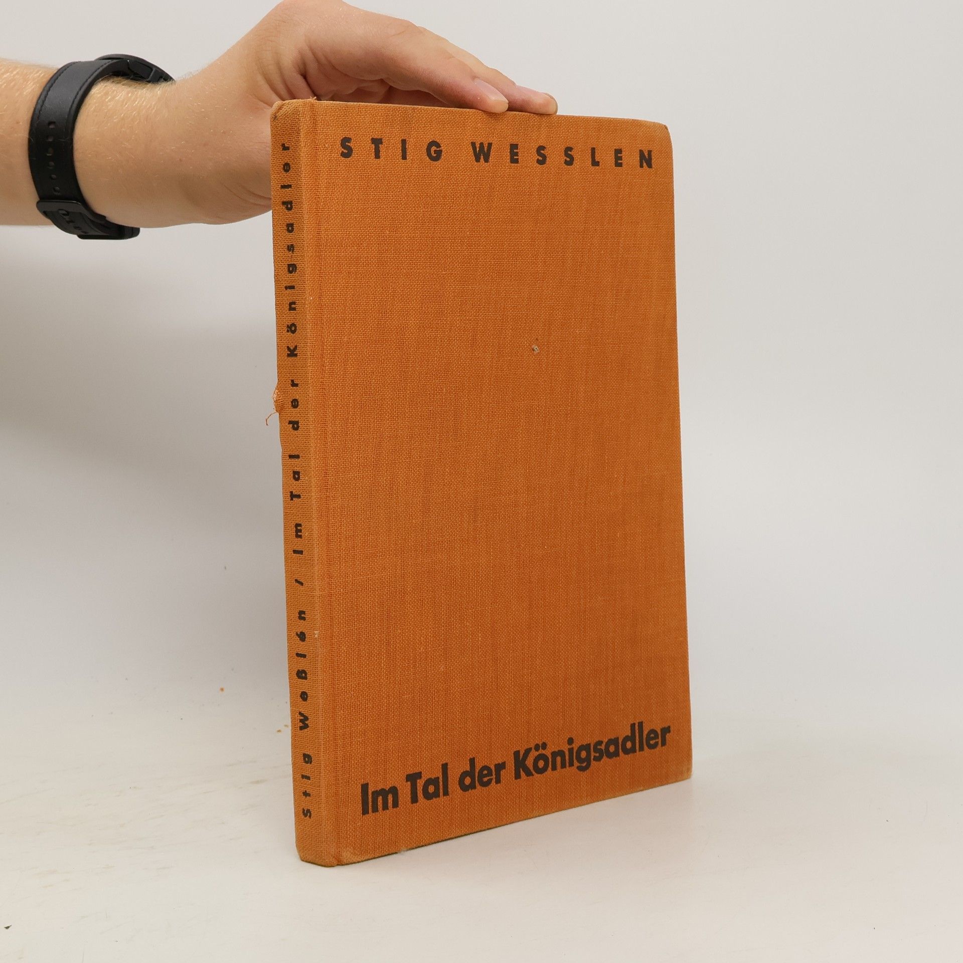 Stig Weßlén Im Tal der Königsadler