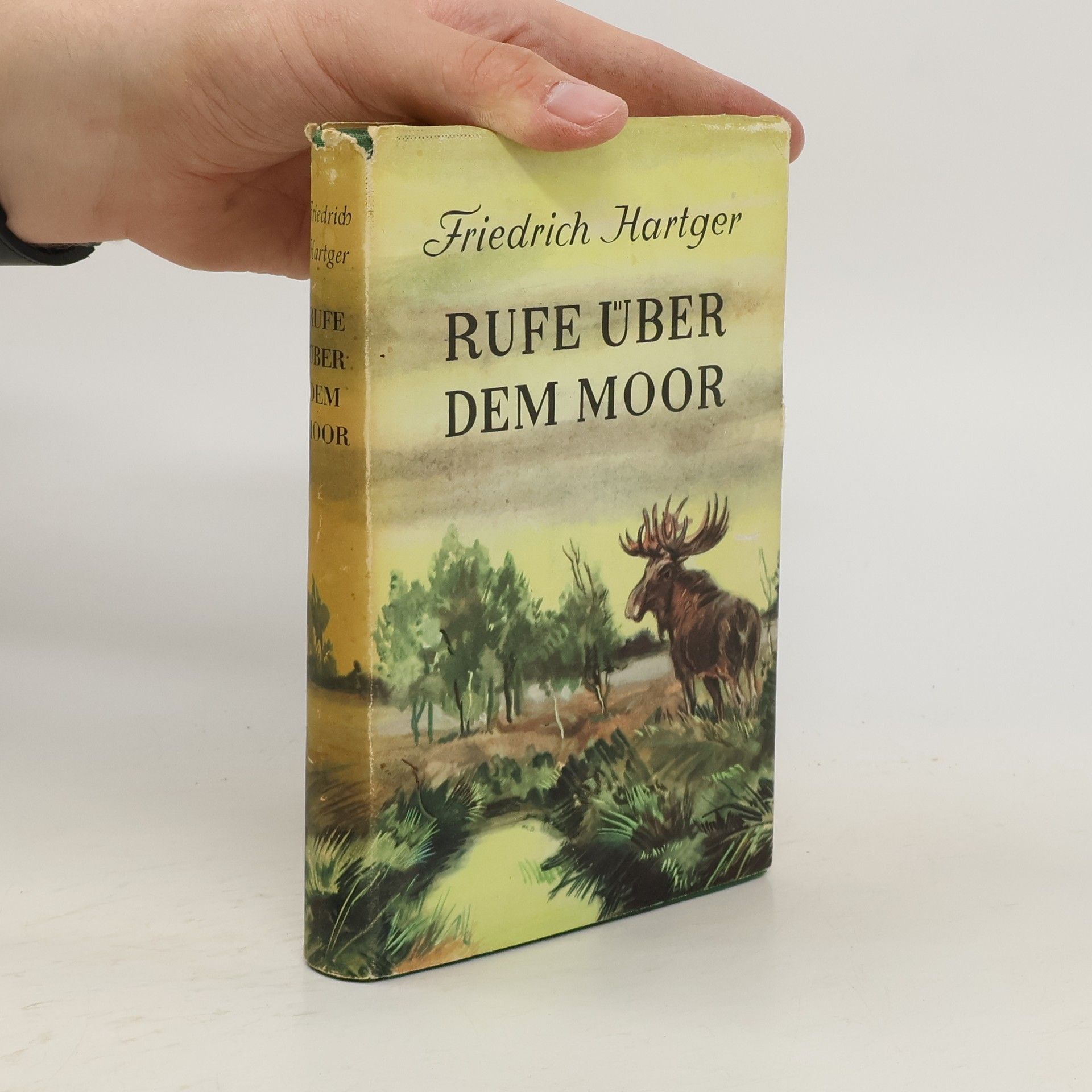 Friedrich Hartger Rufe über dem Moor