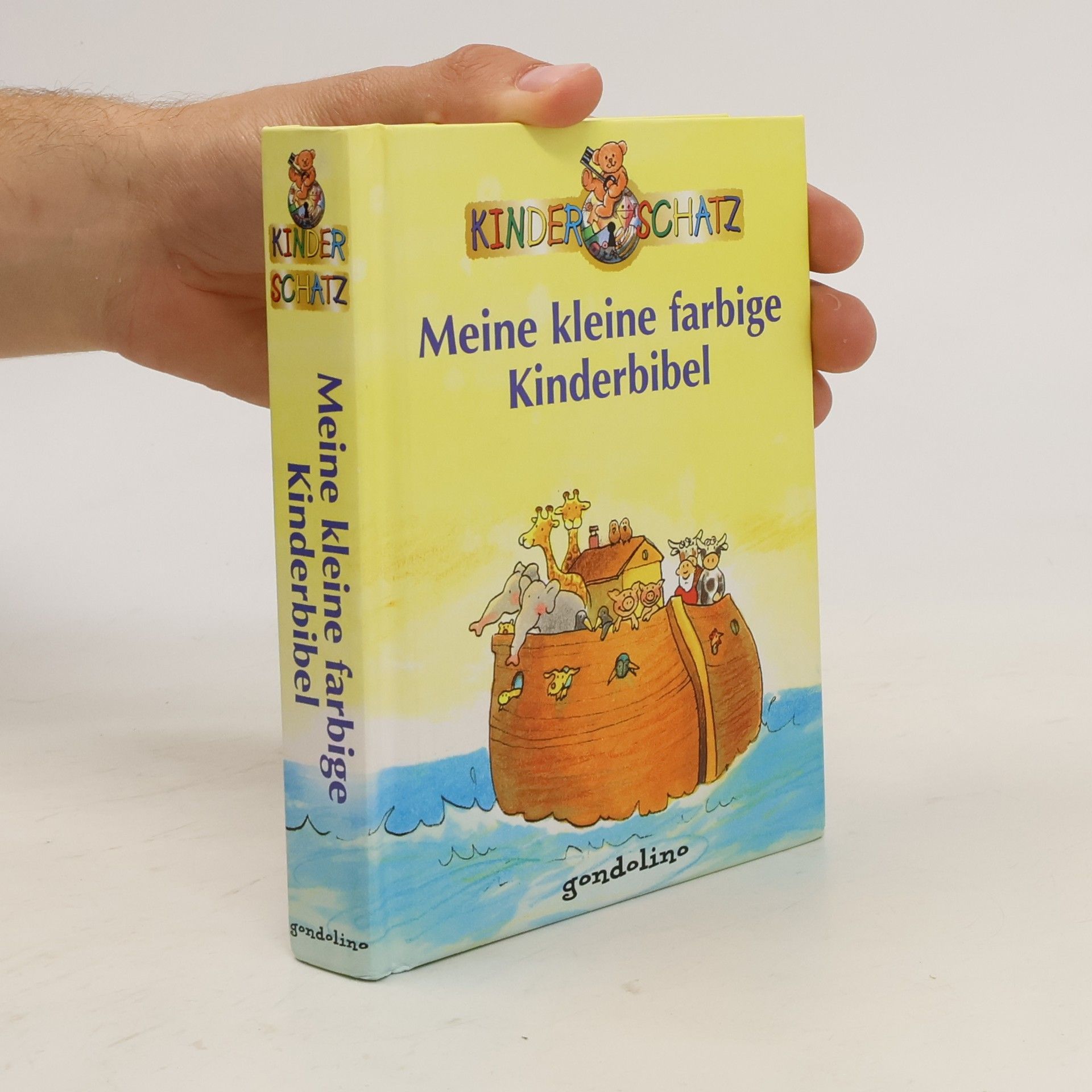 Tim Wood Meine kleine farbige Kinderbibel