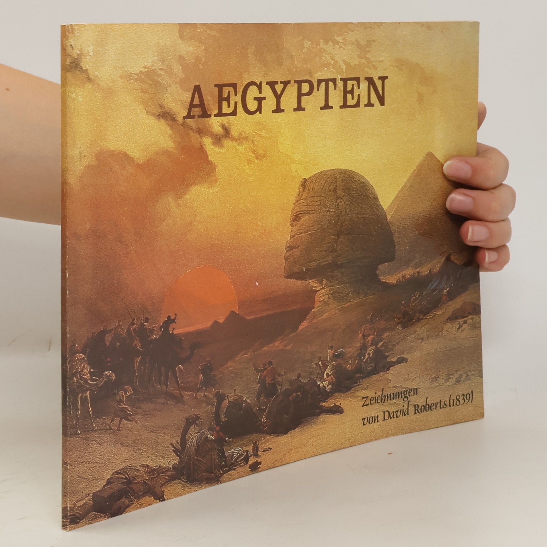 Roberts David Aegypten